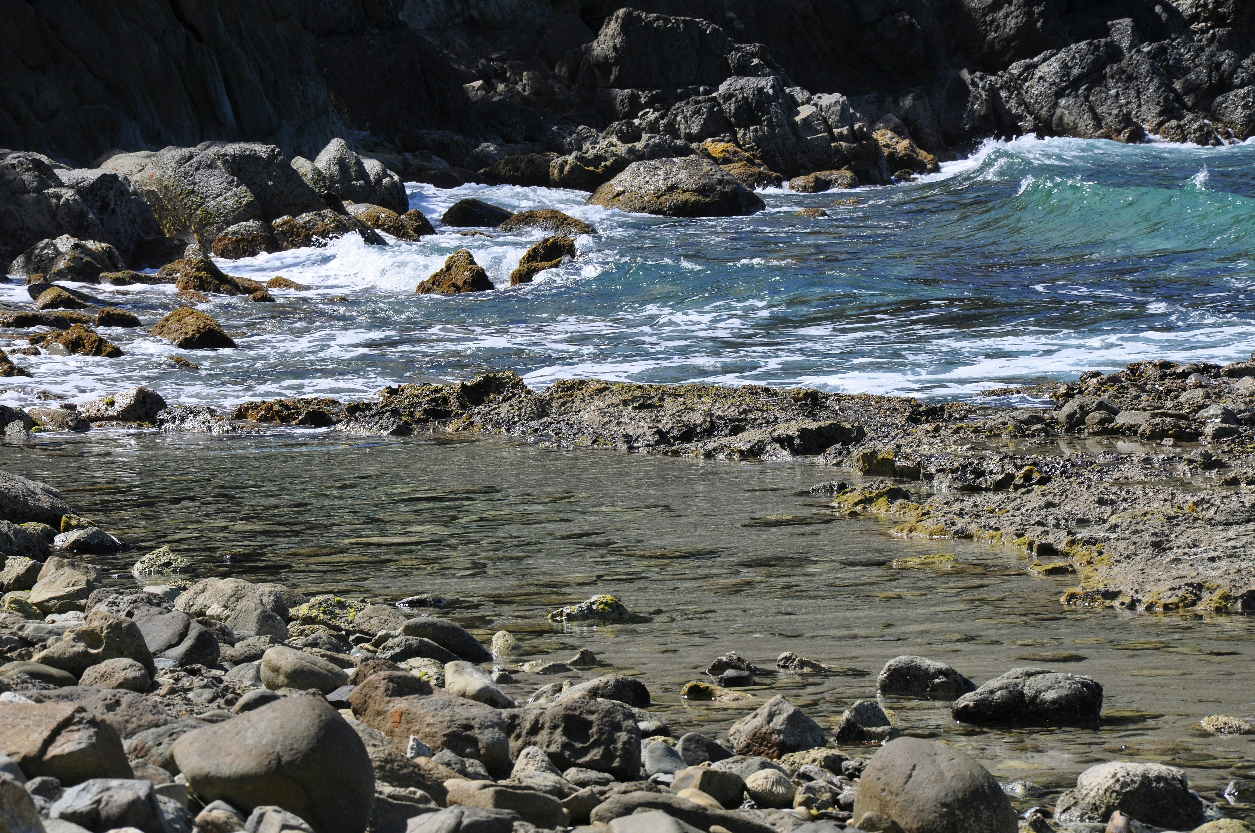 Photo by climatechangevi