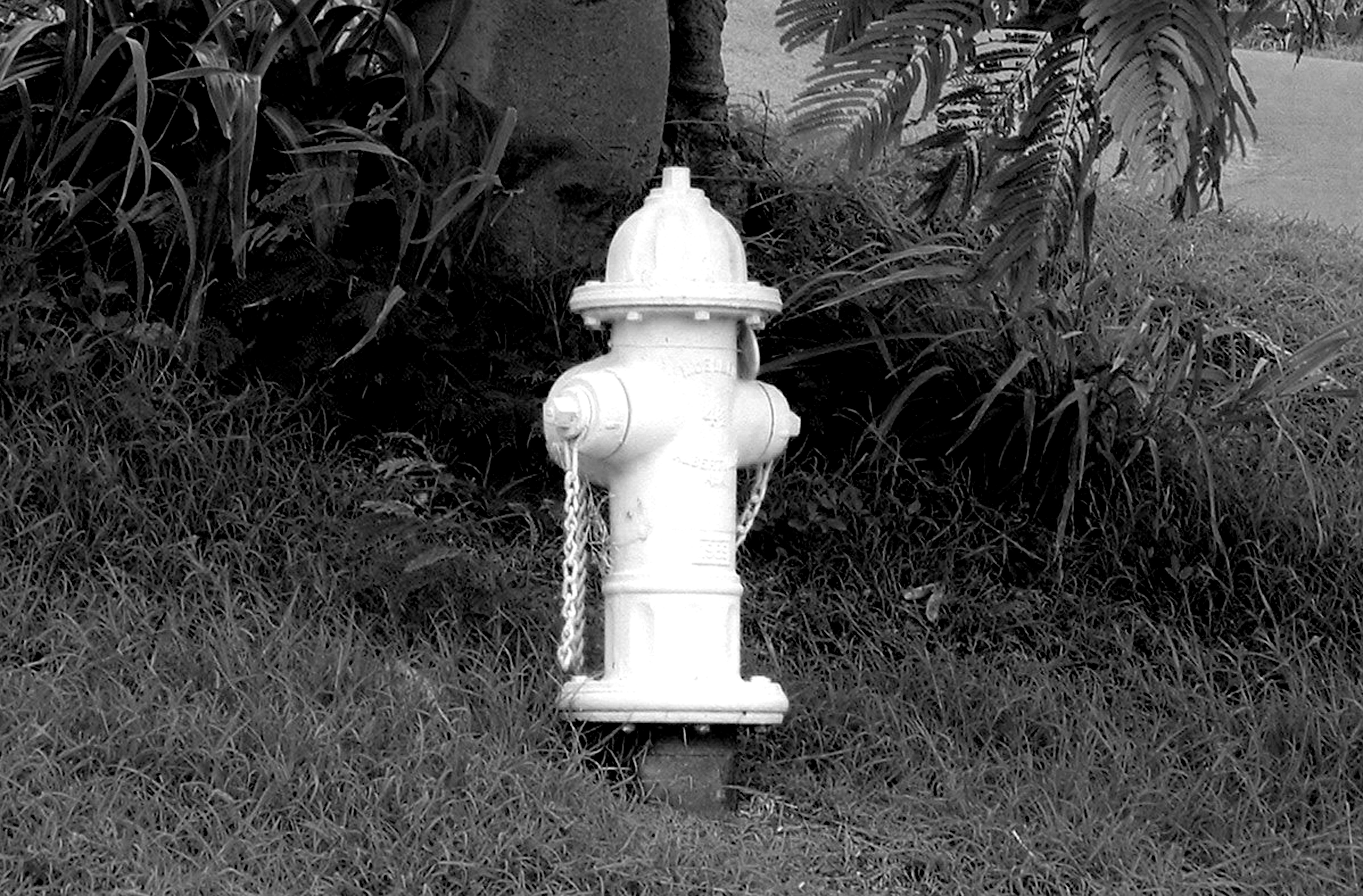 foto hitam putih hidran kebakaran