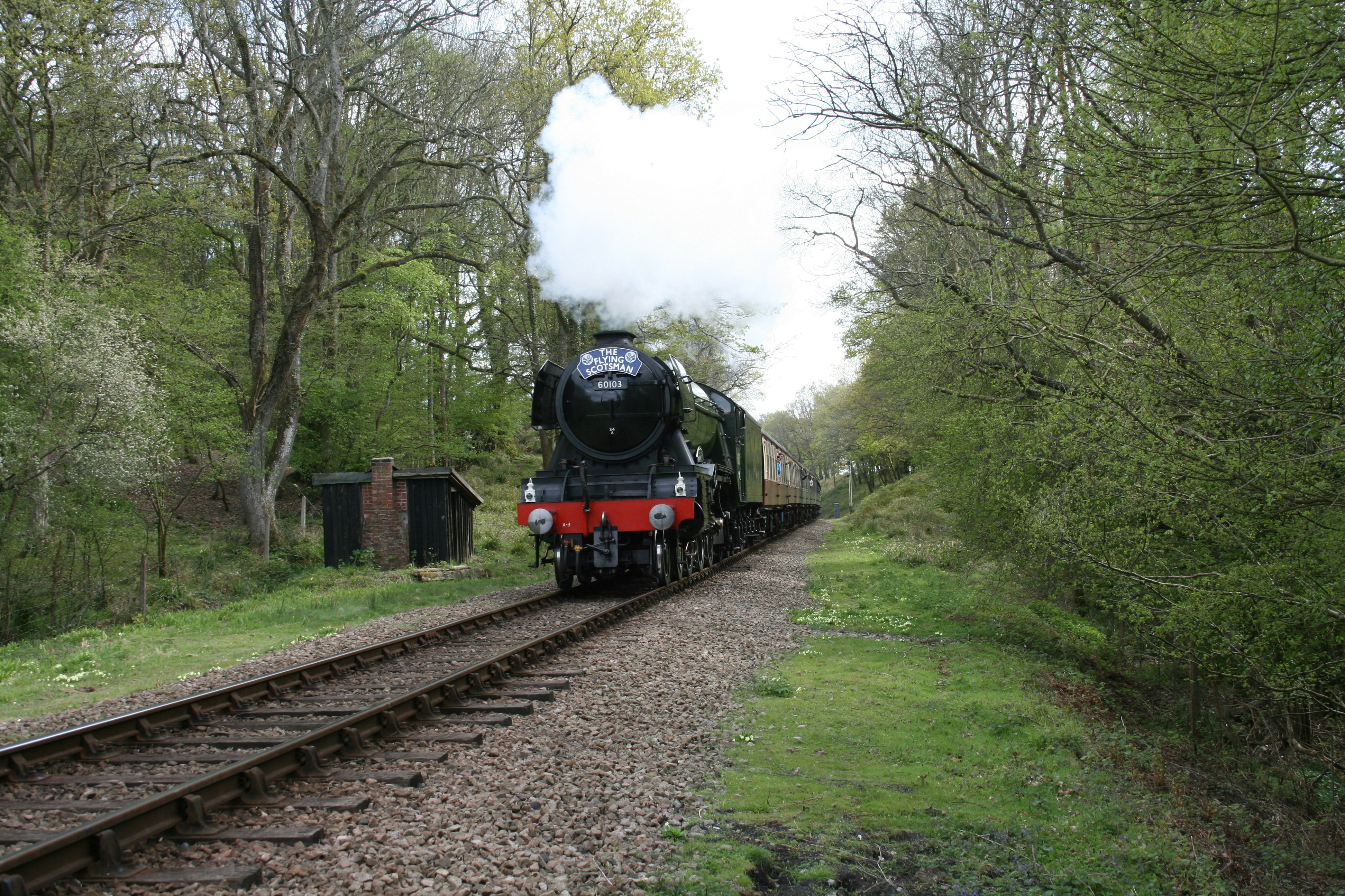 a train traveling down train tracks next to a forest, Flying Scotsman passes through the Sussex countryside