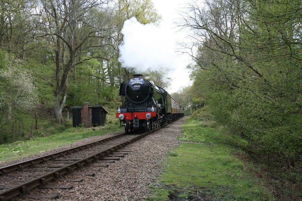 a train traveling down train tracks next to a forest