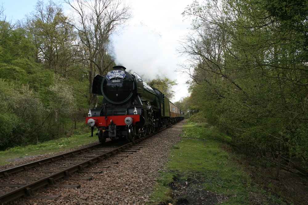 a train traveling through a lush green forest