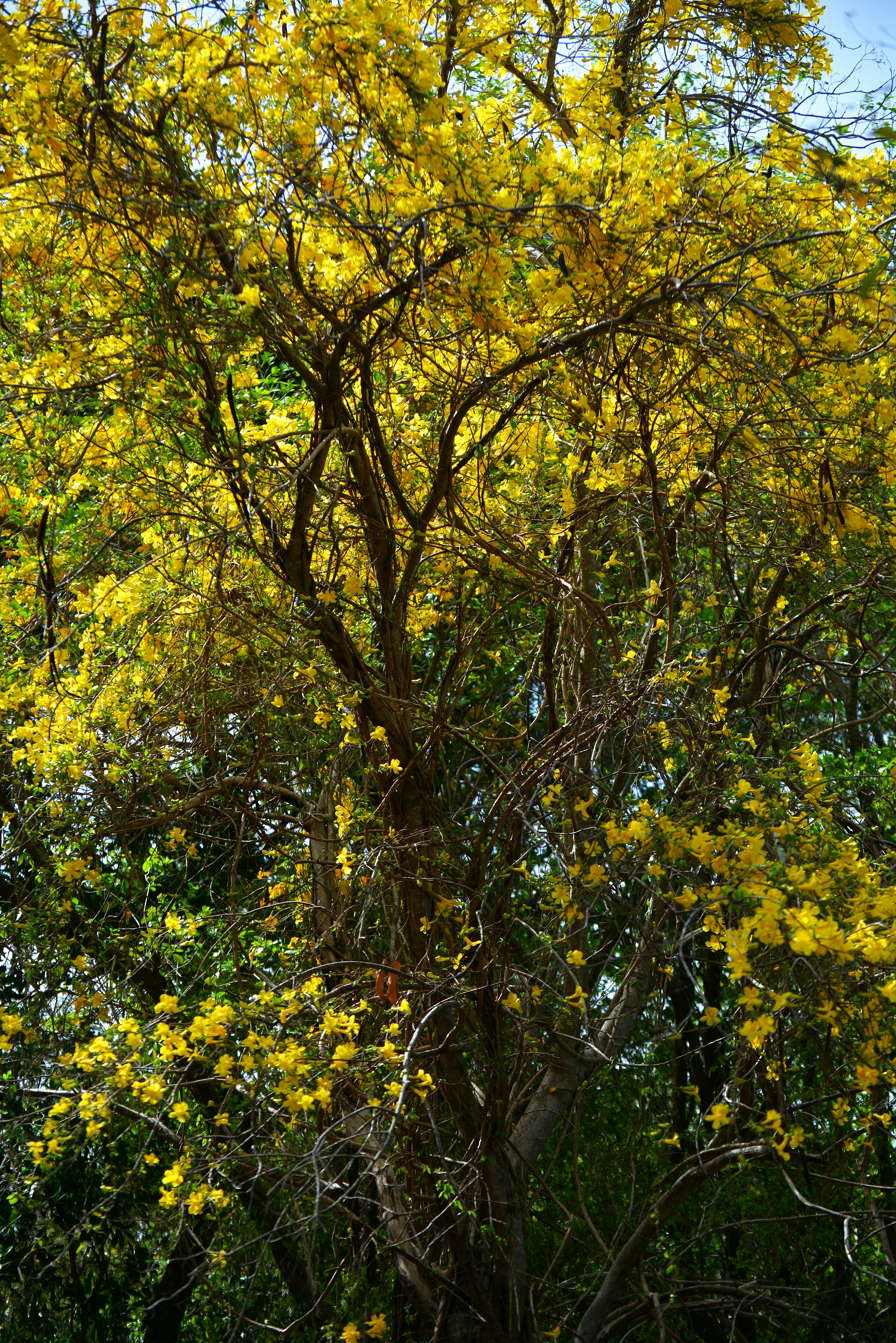 Photo by climatechangevi