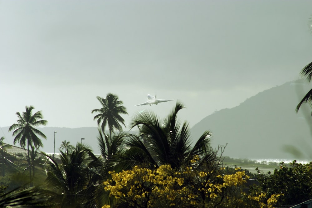 a plane is flying over a tropical area