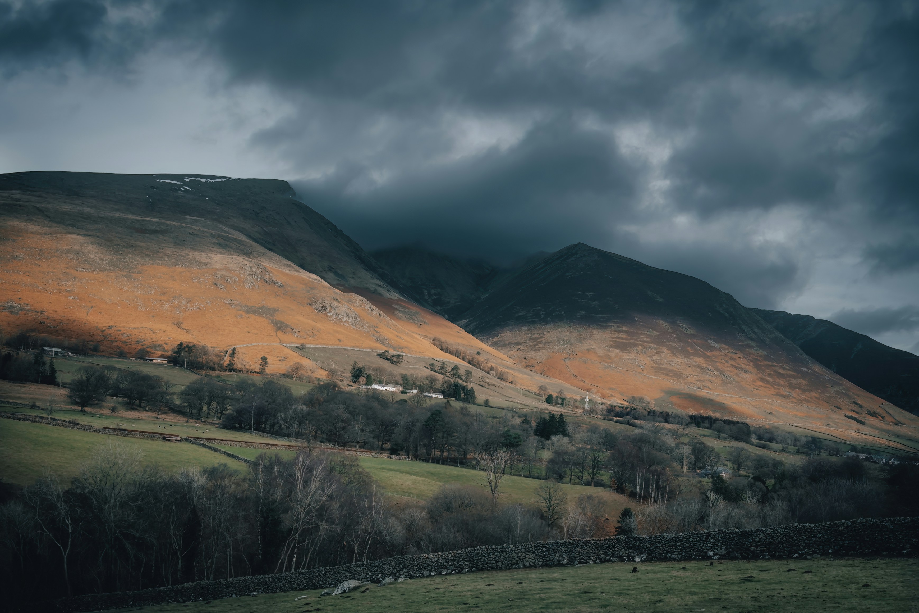 a grassy field with a mountain in the background, 