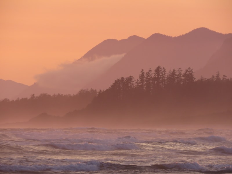 Vancouver Island coast