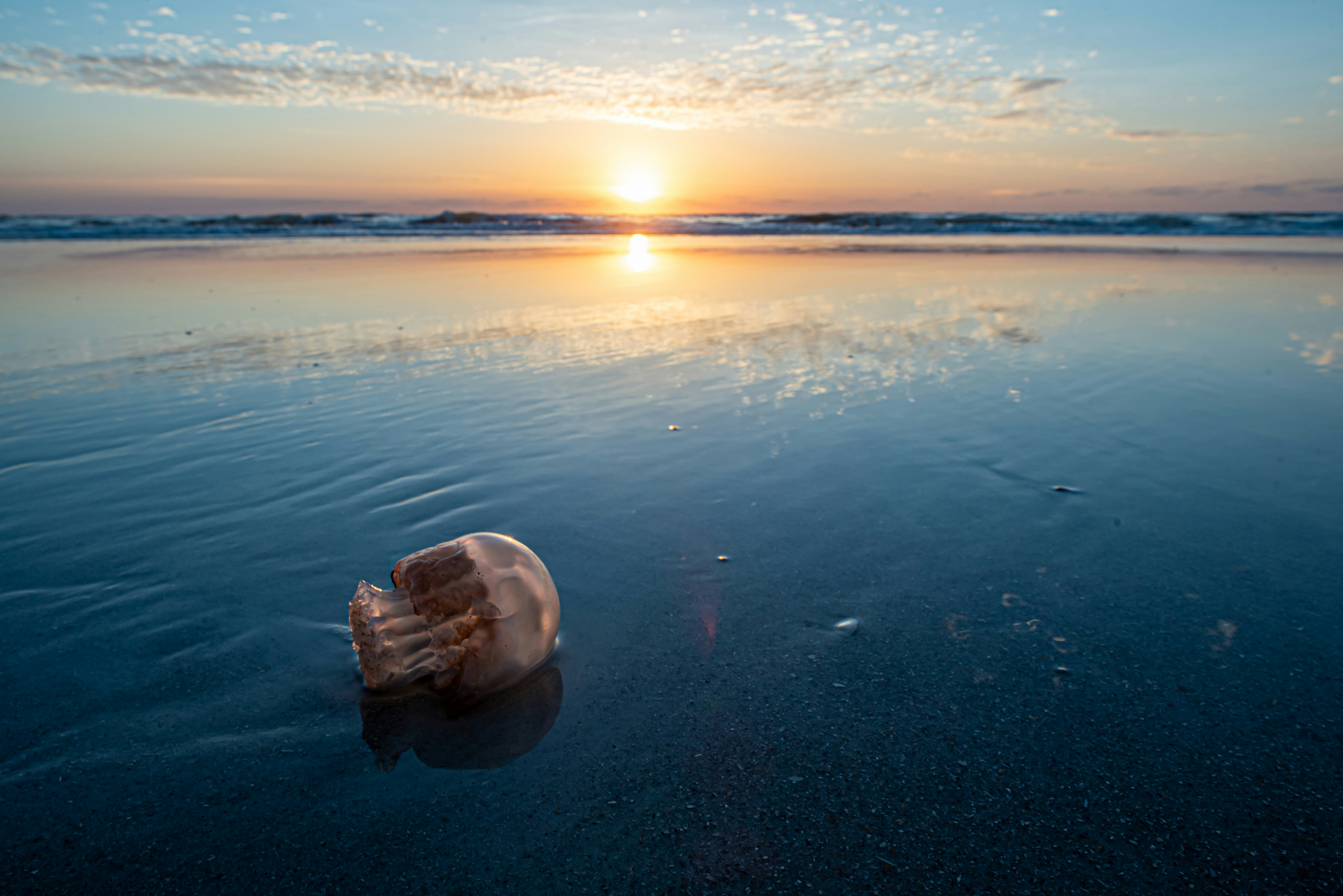 a message in a bottle on the beach at sunset