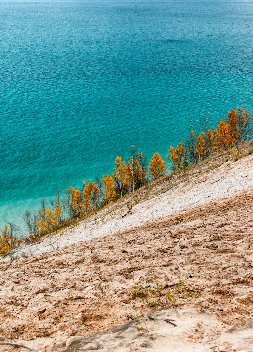 Una panchina seduta sulla cima di una spiaggia sabbiosa vicino all'oceano