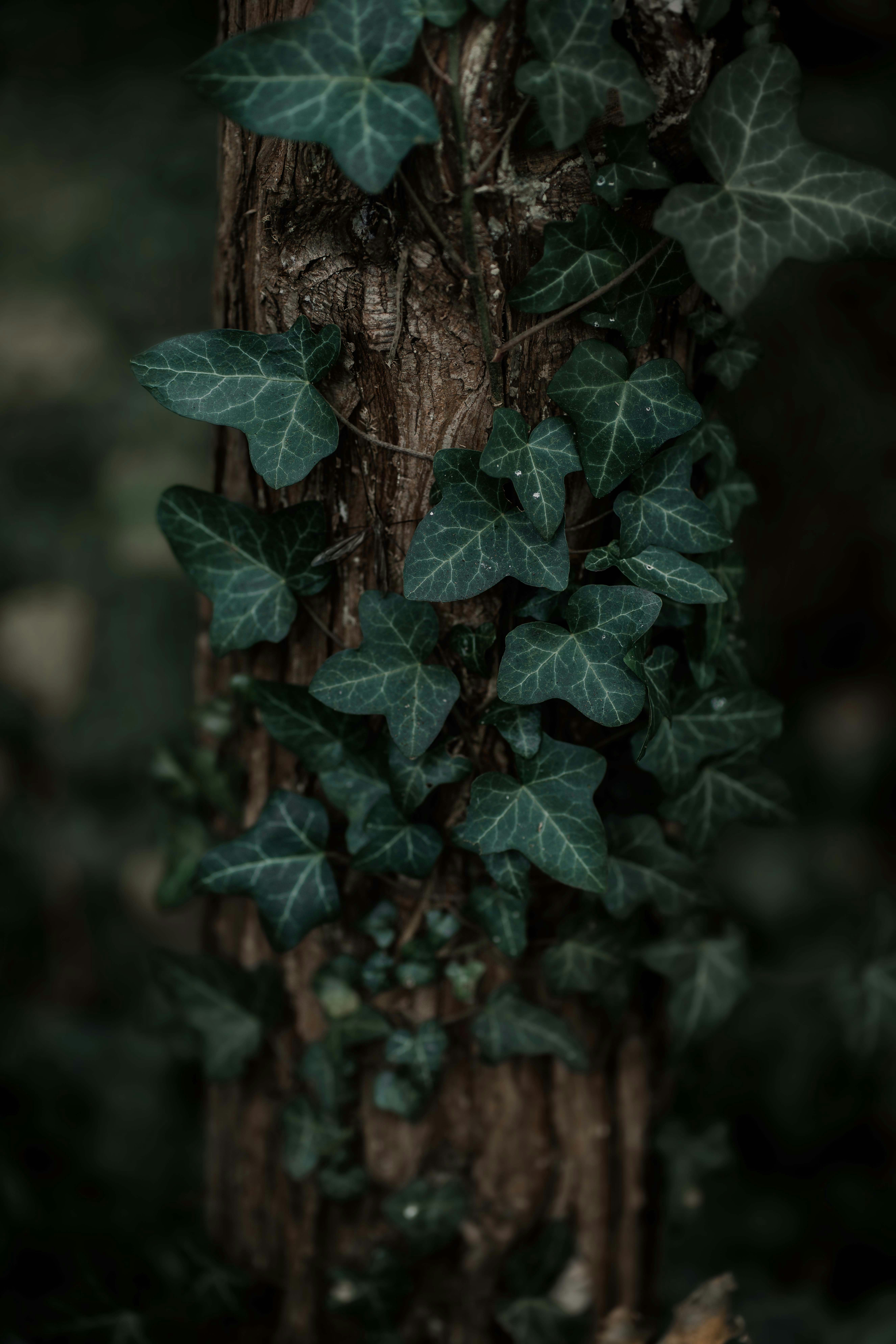 Photo by prics
