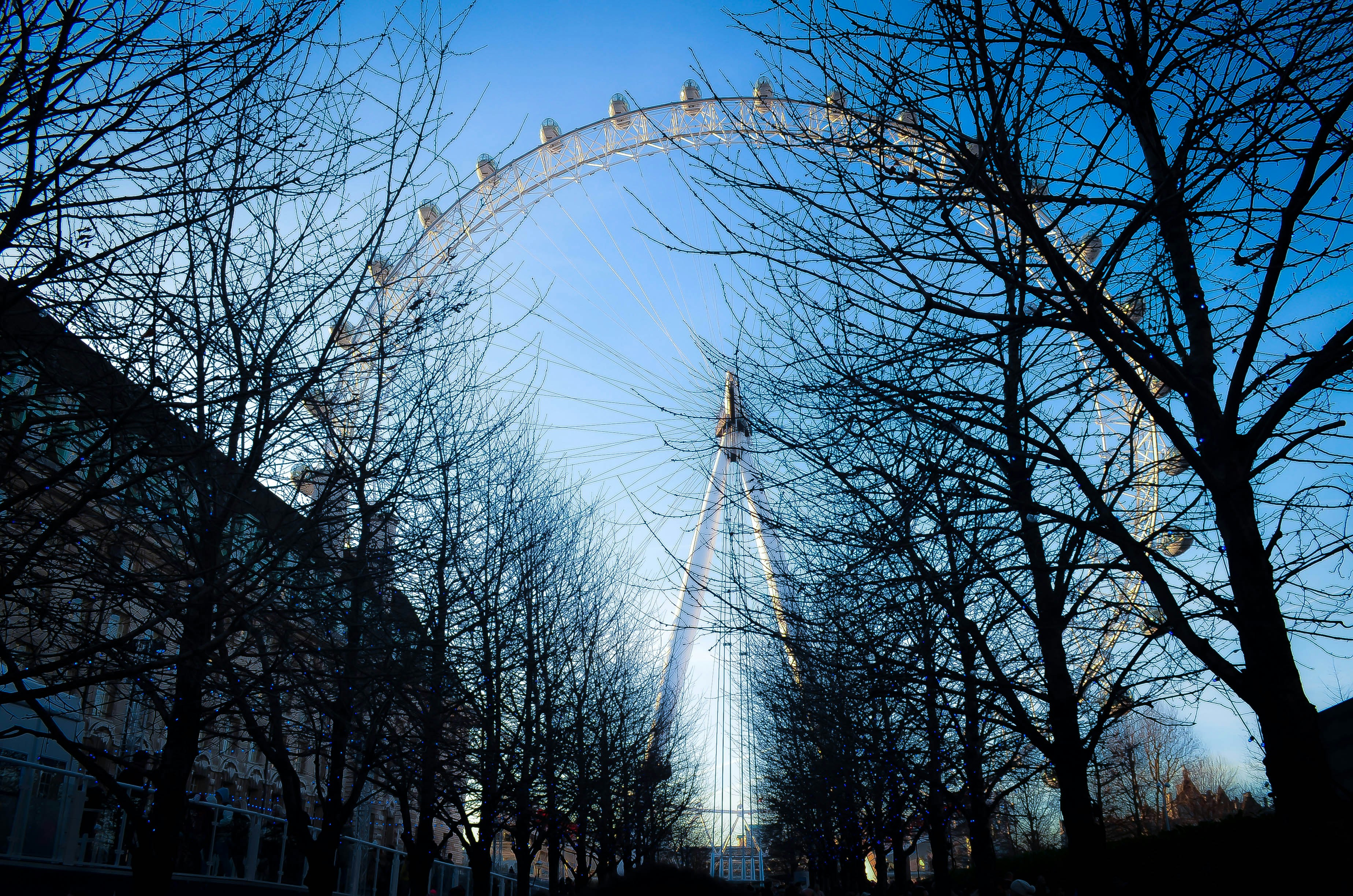a ferris wheel surrounded by trees and buildings