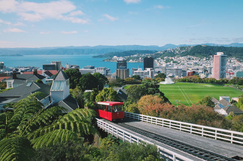 Best Eco-Friendly Resorts and Sustainable Stays in Wellington