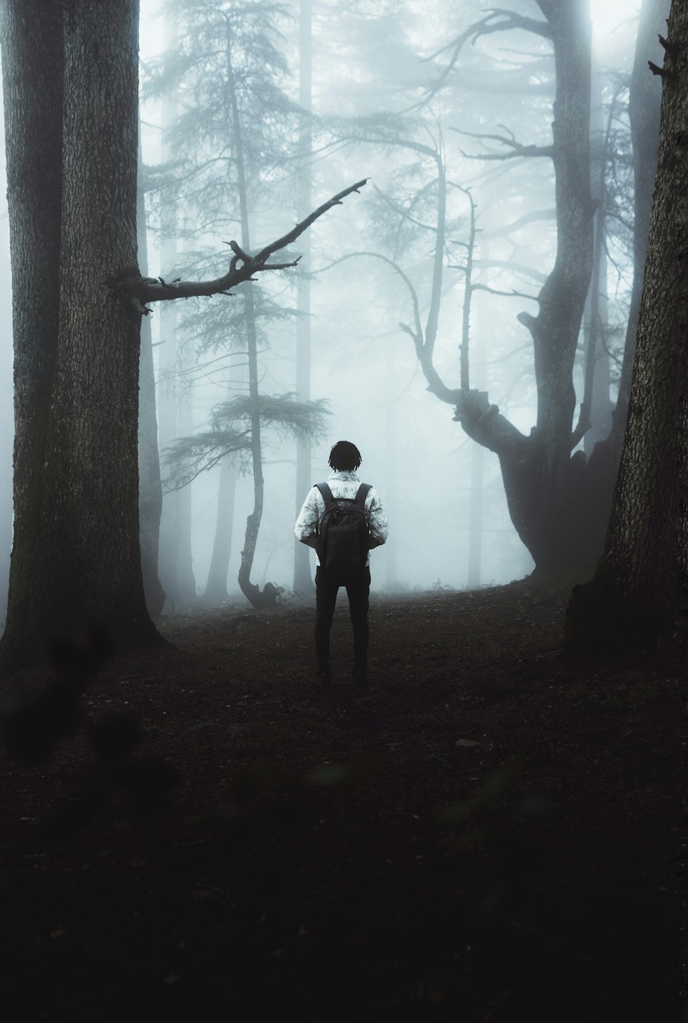 Eine Person, die mitten im Wald steht