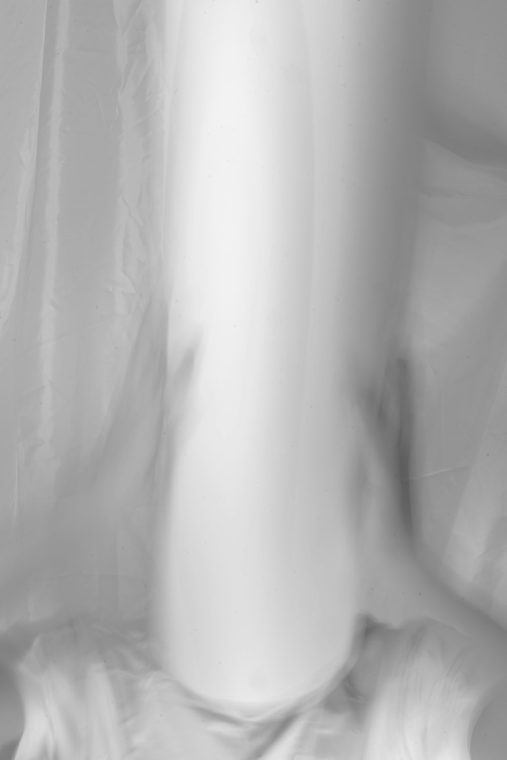 白い花瓶の白黒写真