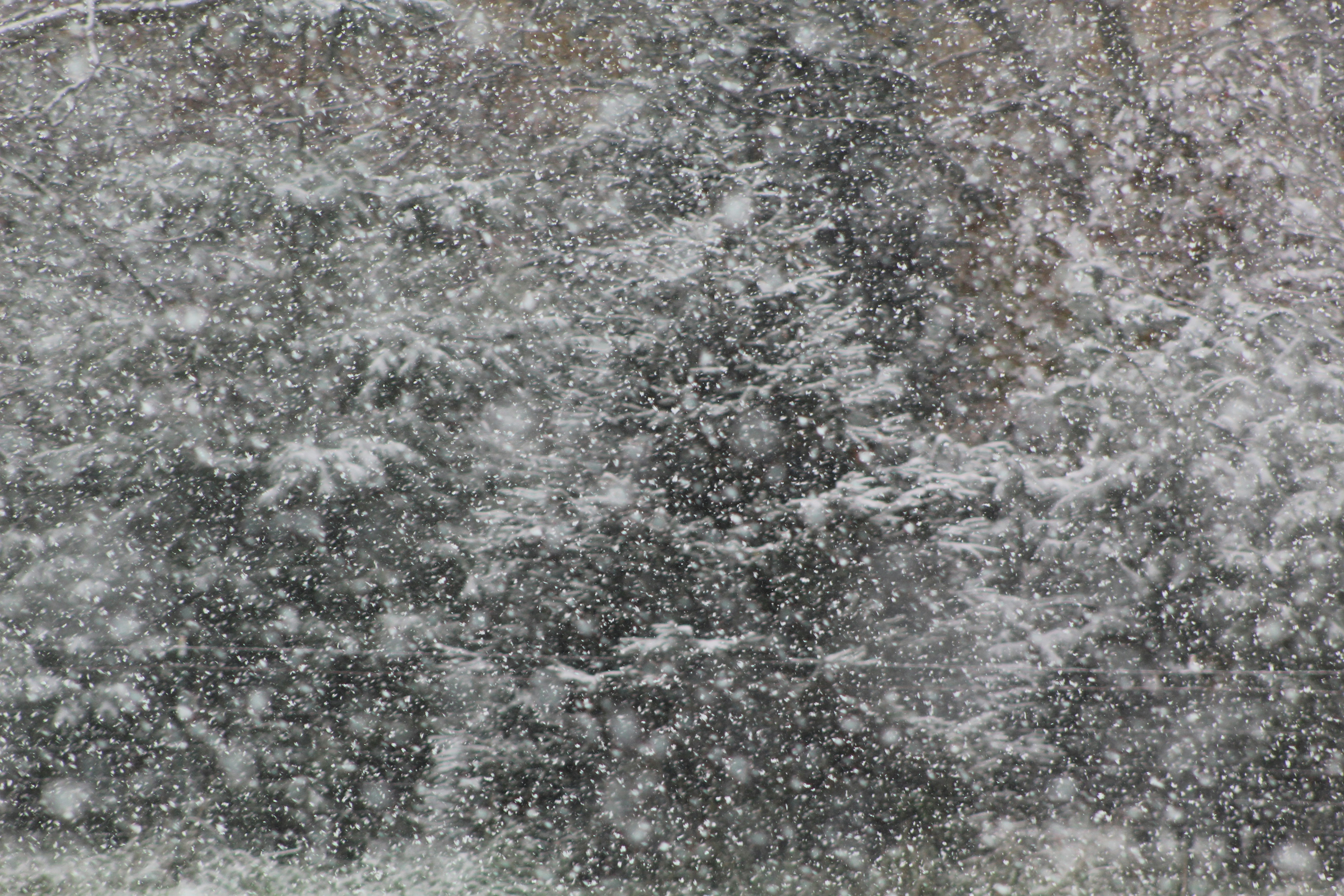Photo by owenaweather26