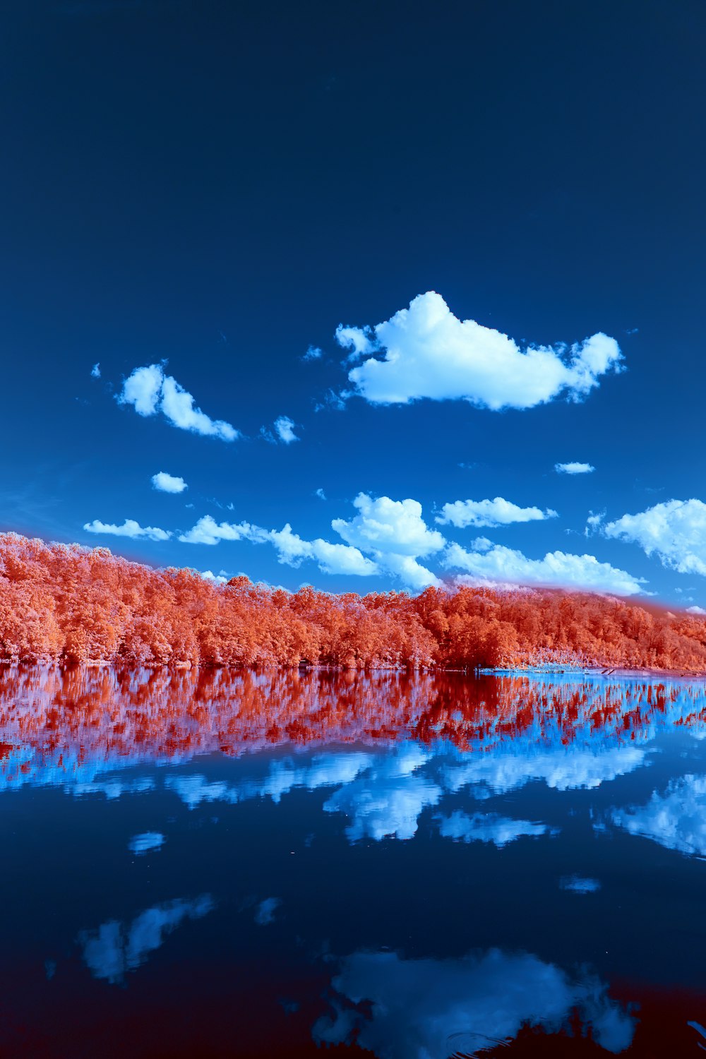 a body of water surrounded by trees and clouds