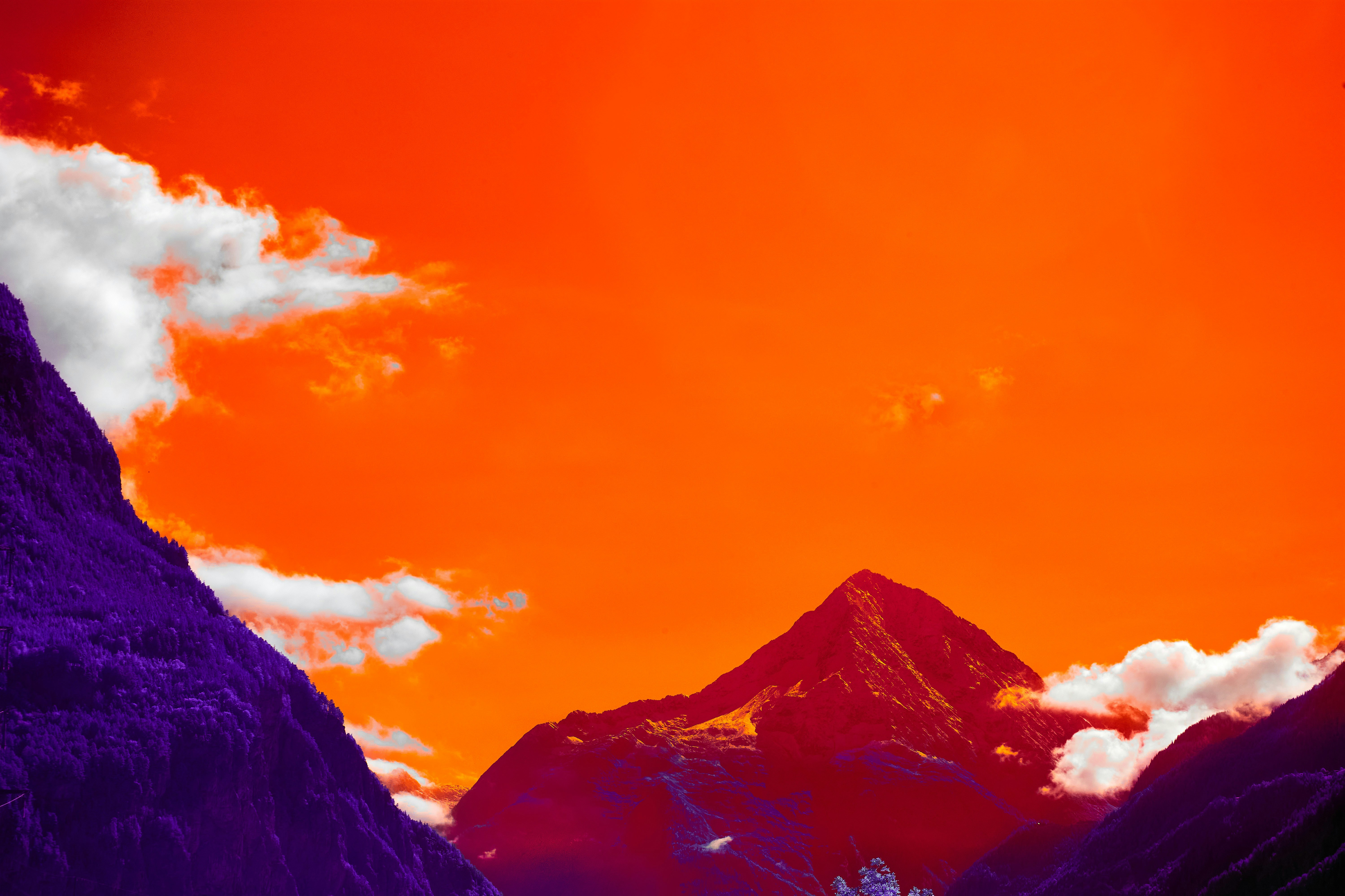 Photo by wolfgang_hasselmann