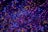 A glowing review graphic featuring sparkles and a cosmic background.