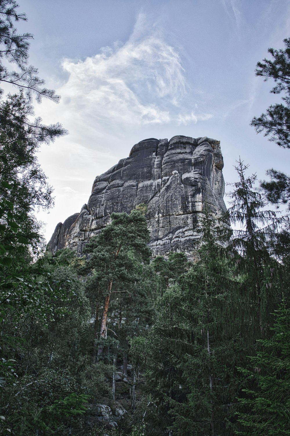 a large rock in the middle of a forest