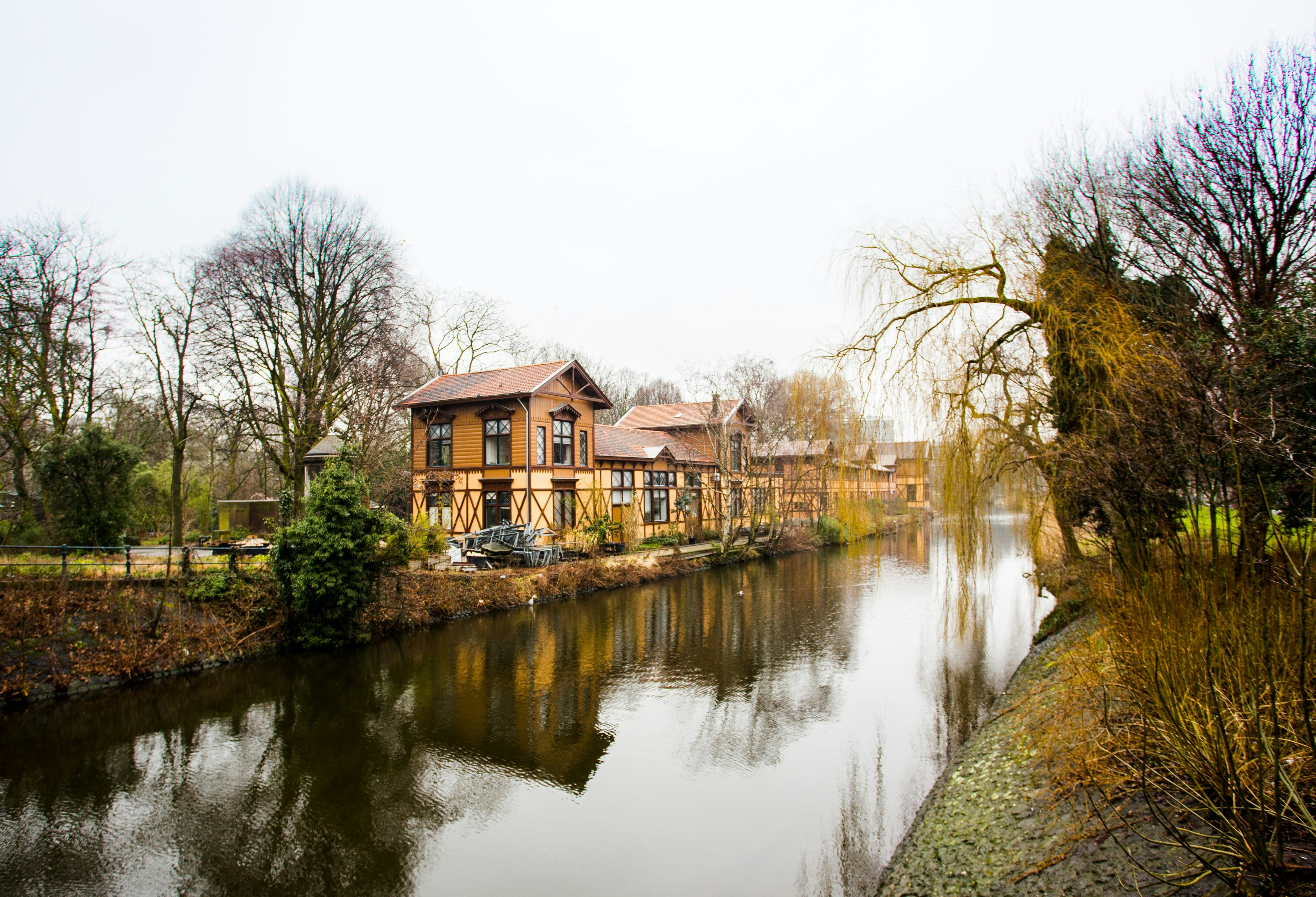 An iDEAL time for a rebrand - TWIF UK & Europe (10/11)