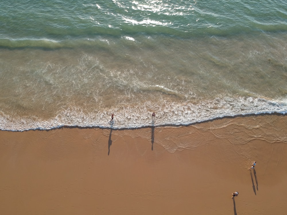 two people standing on a beach next to the ocean