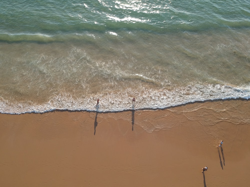 Deux personnes debout sur une plage au bord de l’océan