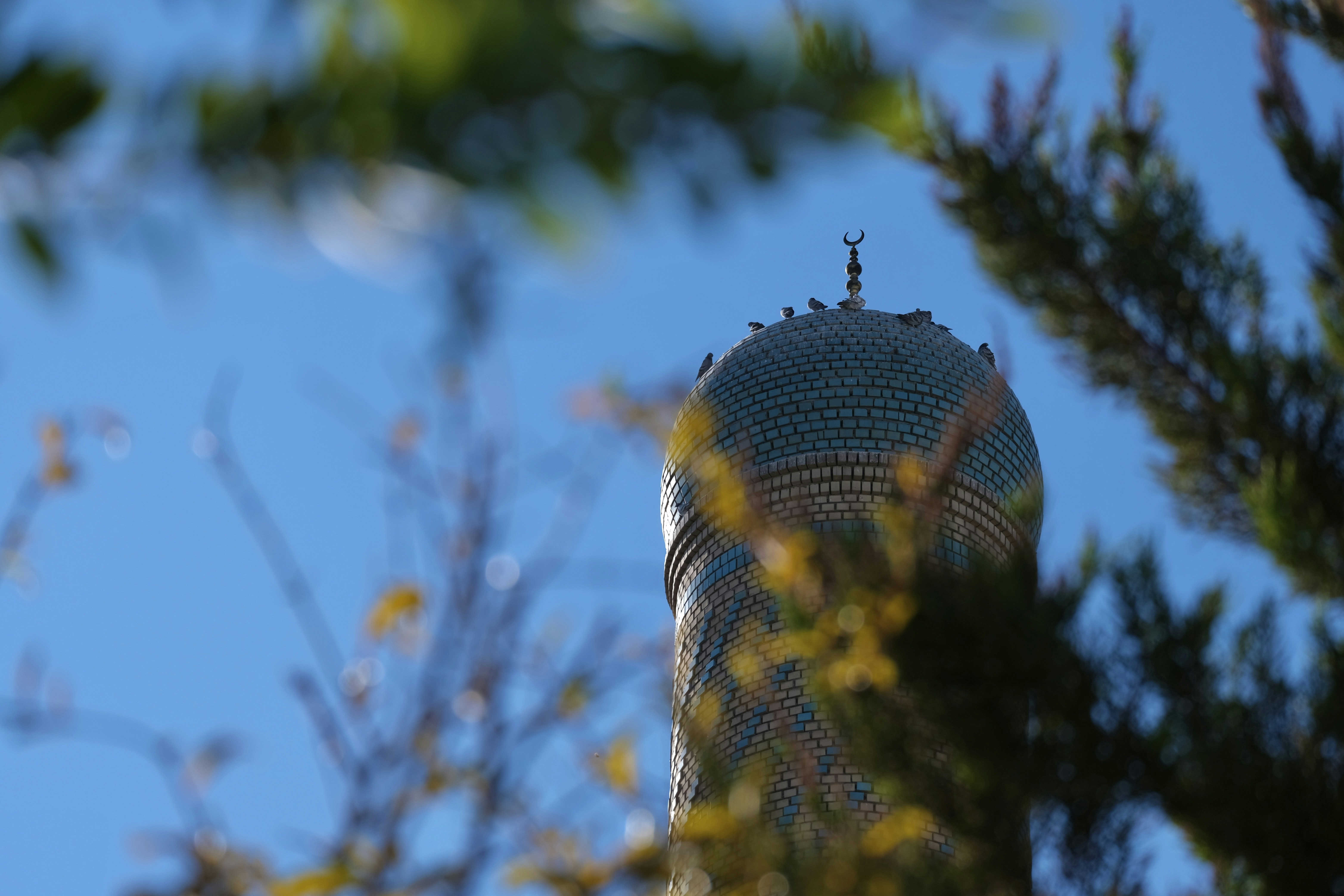 A view of a building through the branches of a tree photo – Free ...