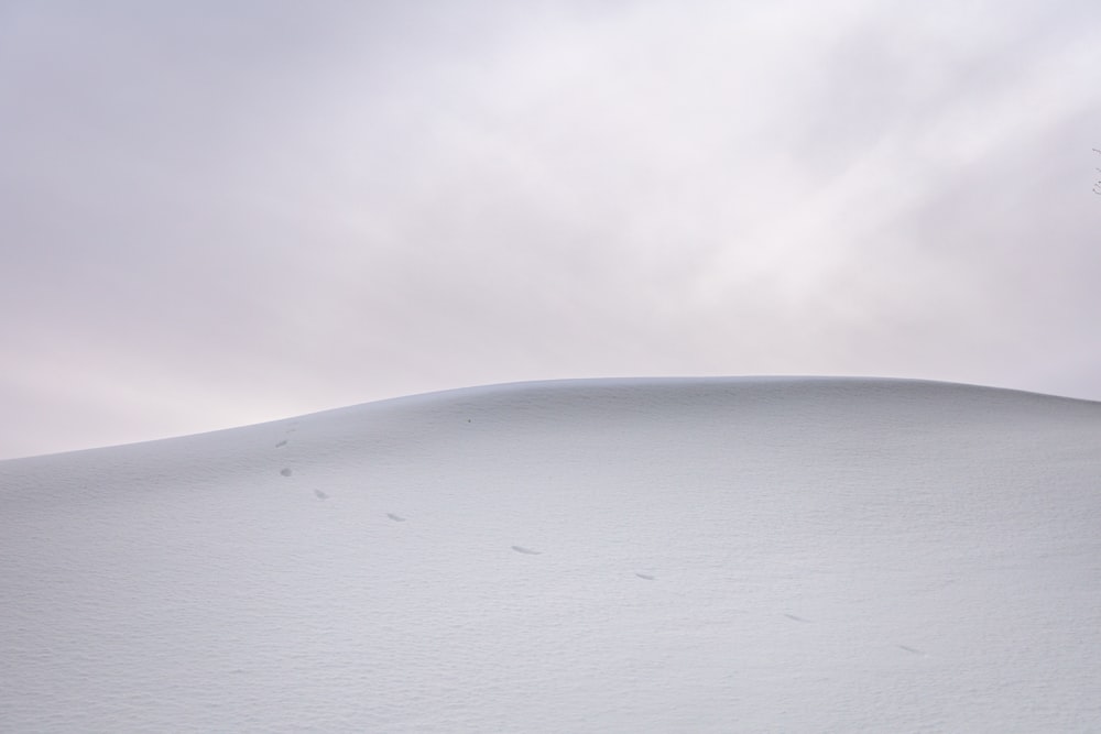 a lone tree in the middle of a snow covered hill