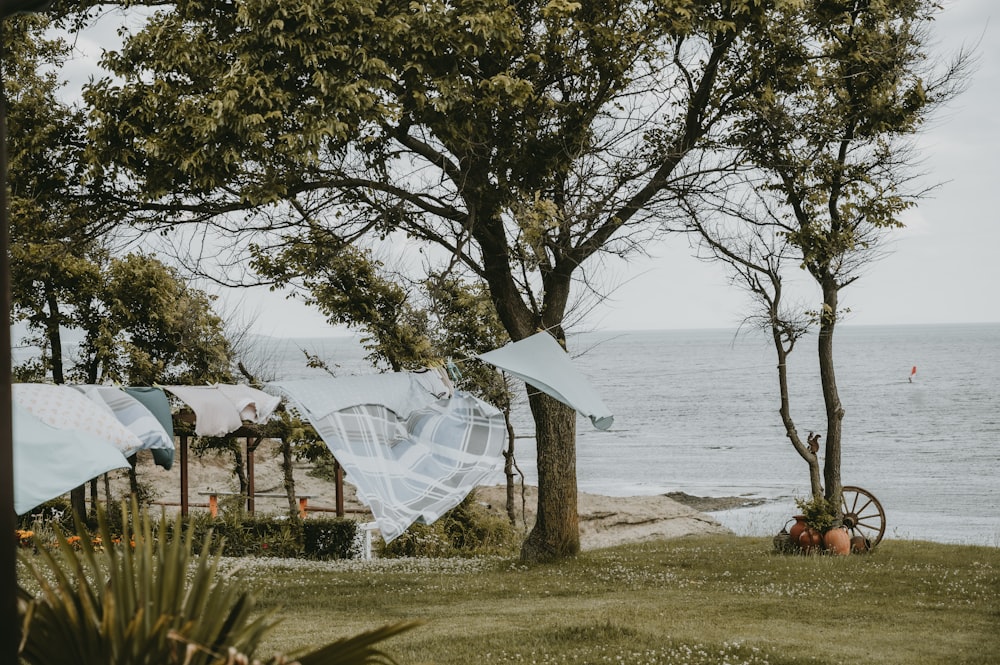 a view of the ocean from a grassy area