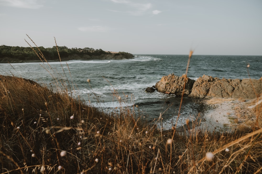 a body of water near a rocky shore