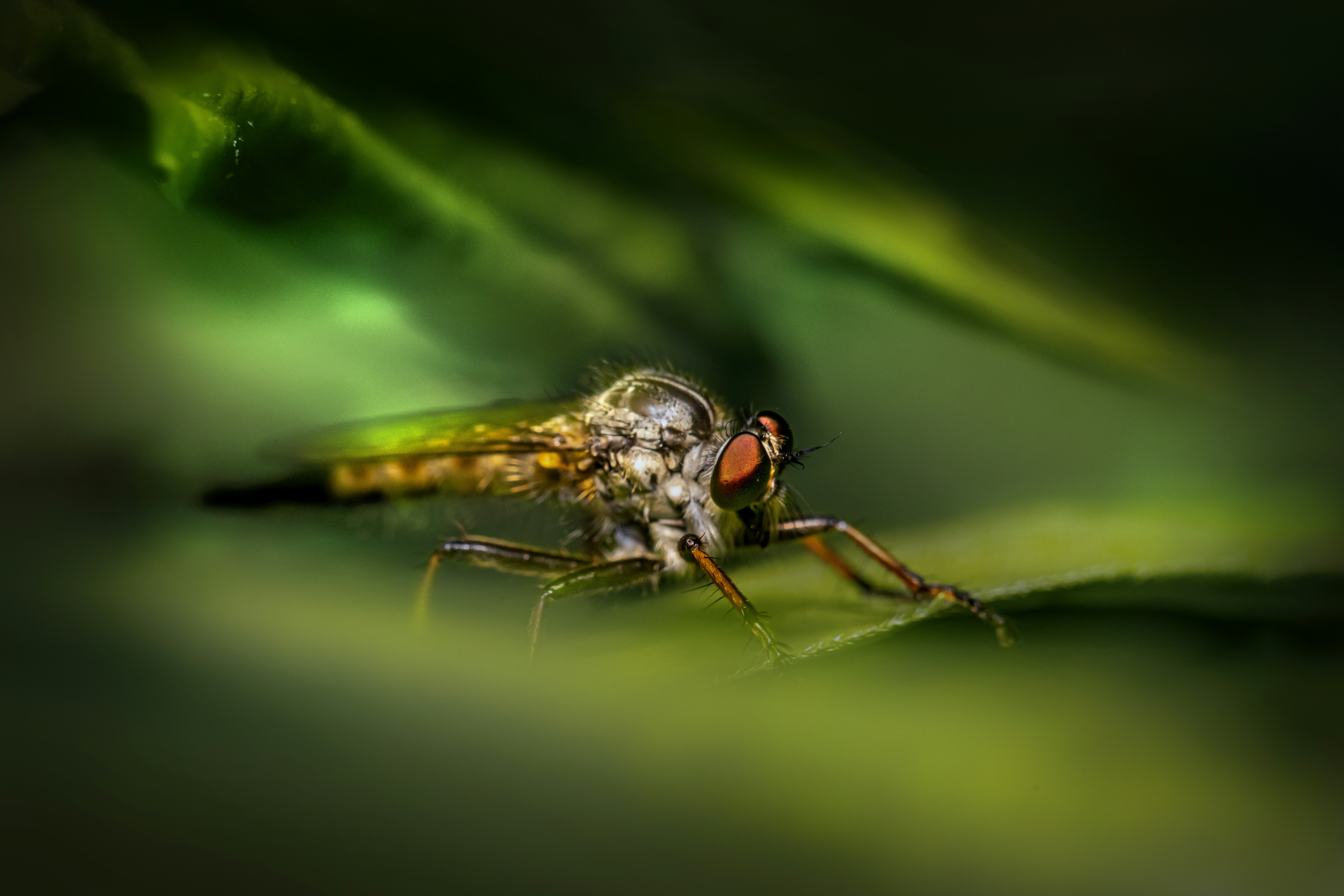 Photo by erik_karits