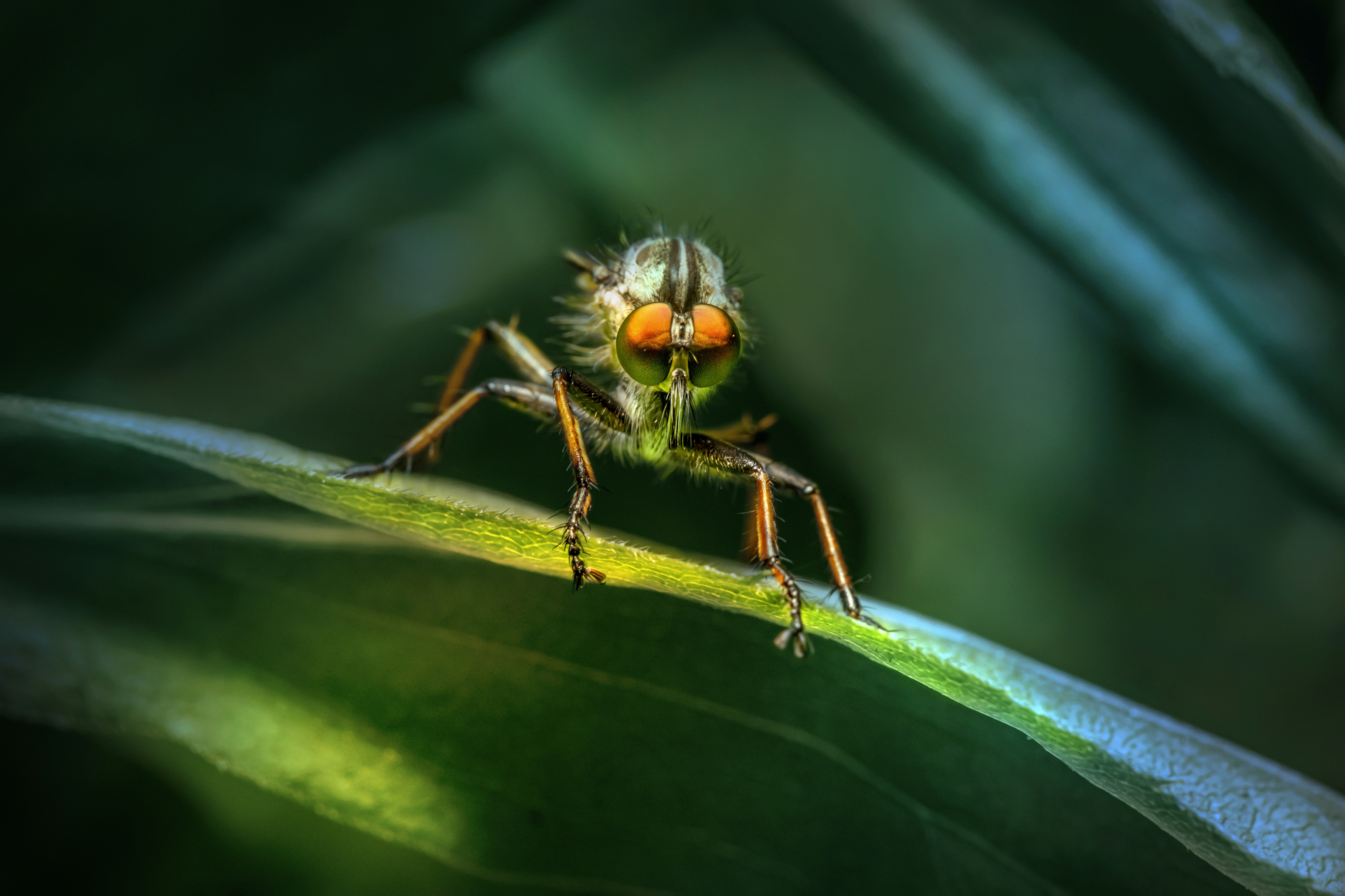 Photo by erik_karits