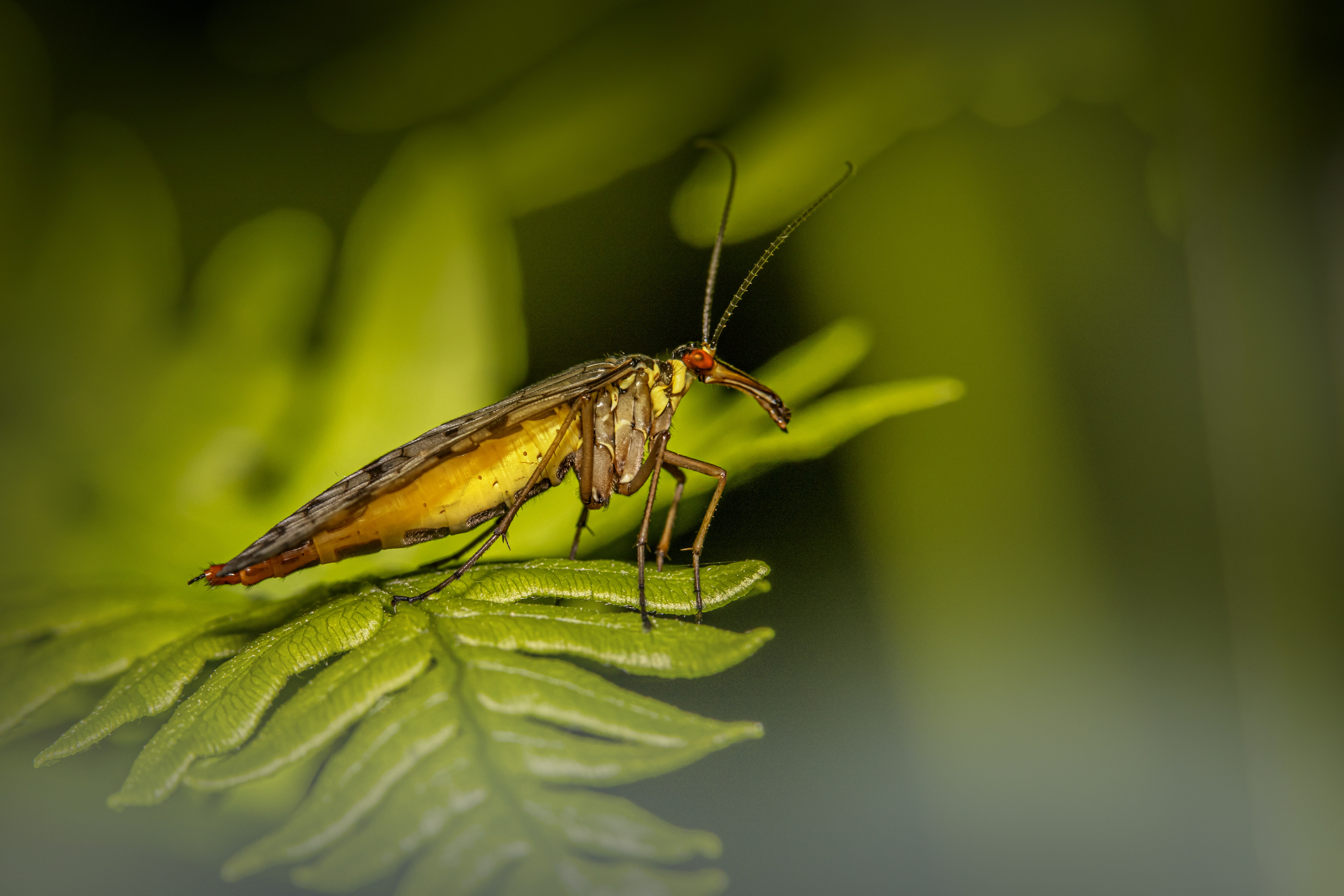 Photo by erik_karits