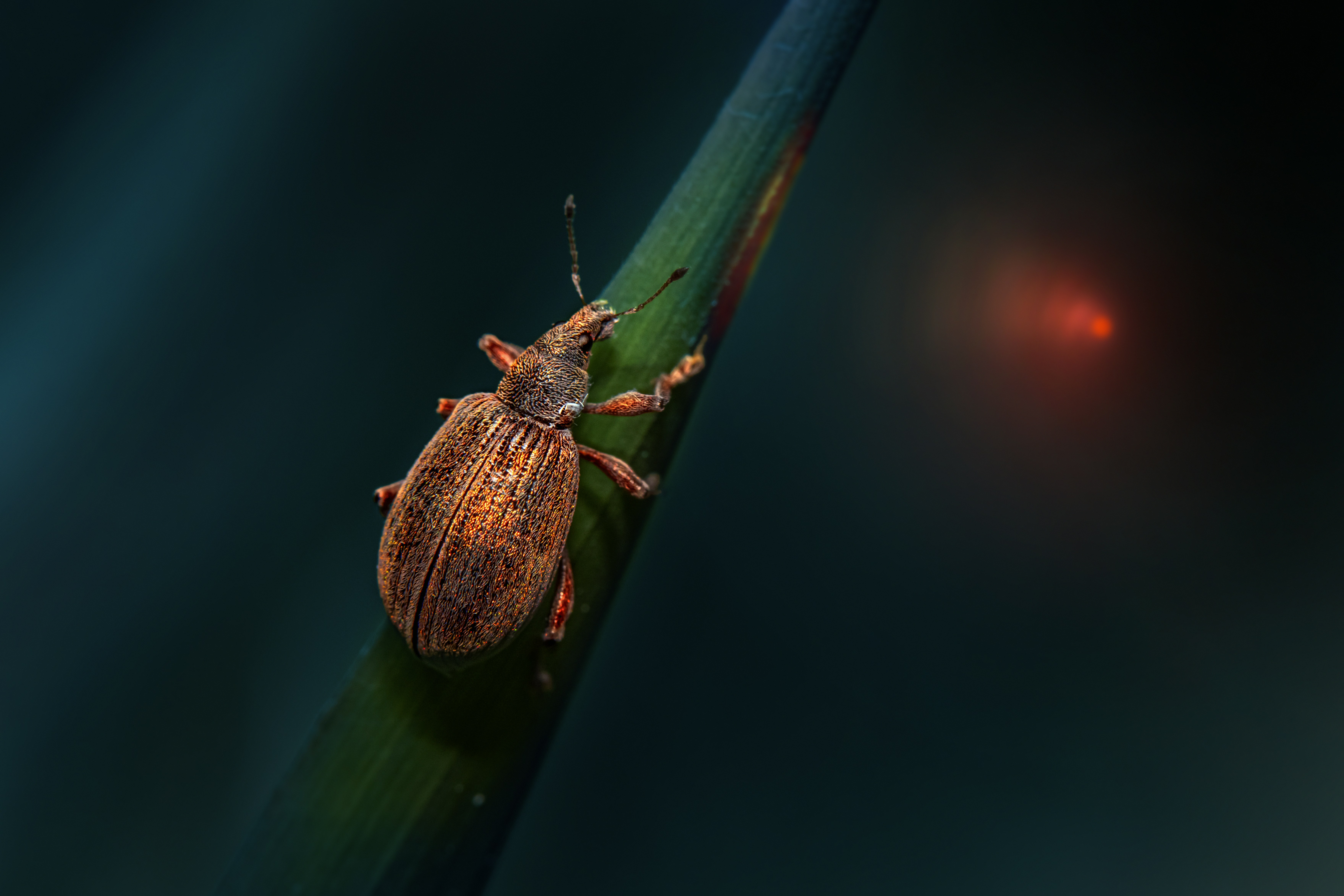Prévenir les bugs avant leur mise en production