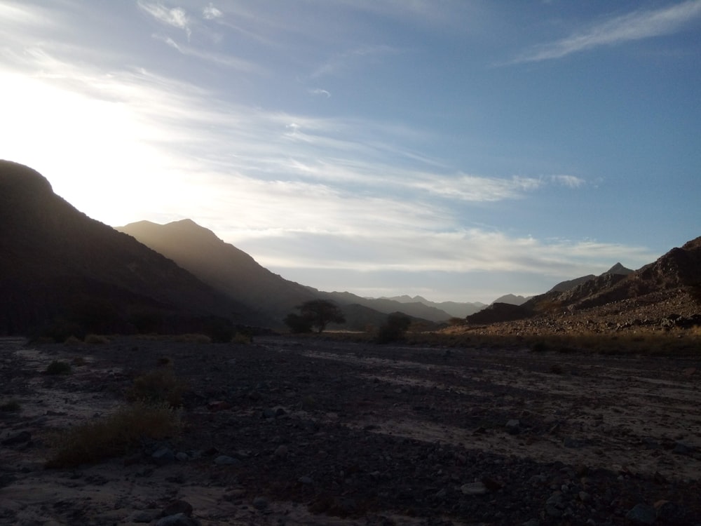 a dirt road in the middle of a desert