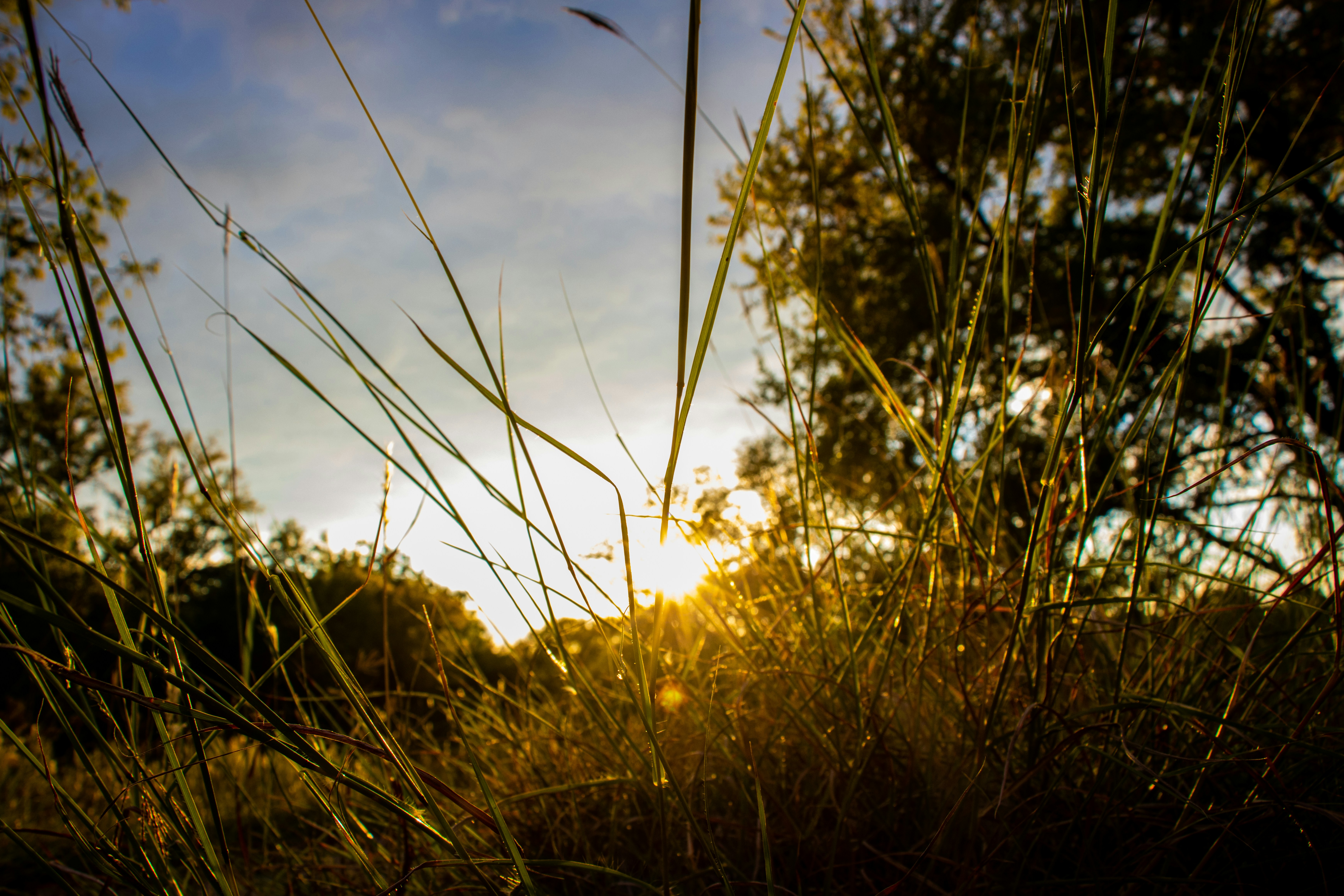 Photo by jakeforsher