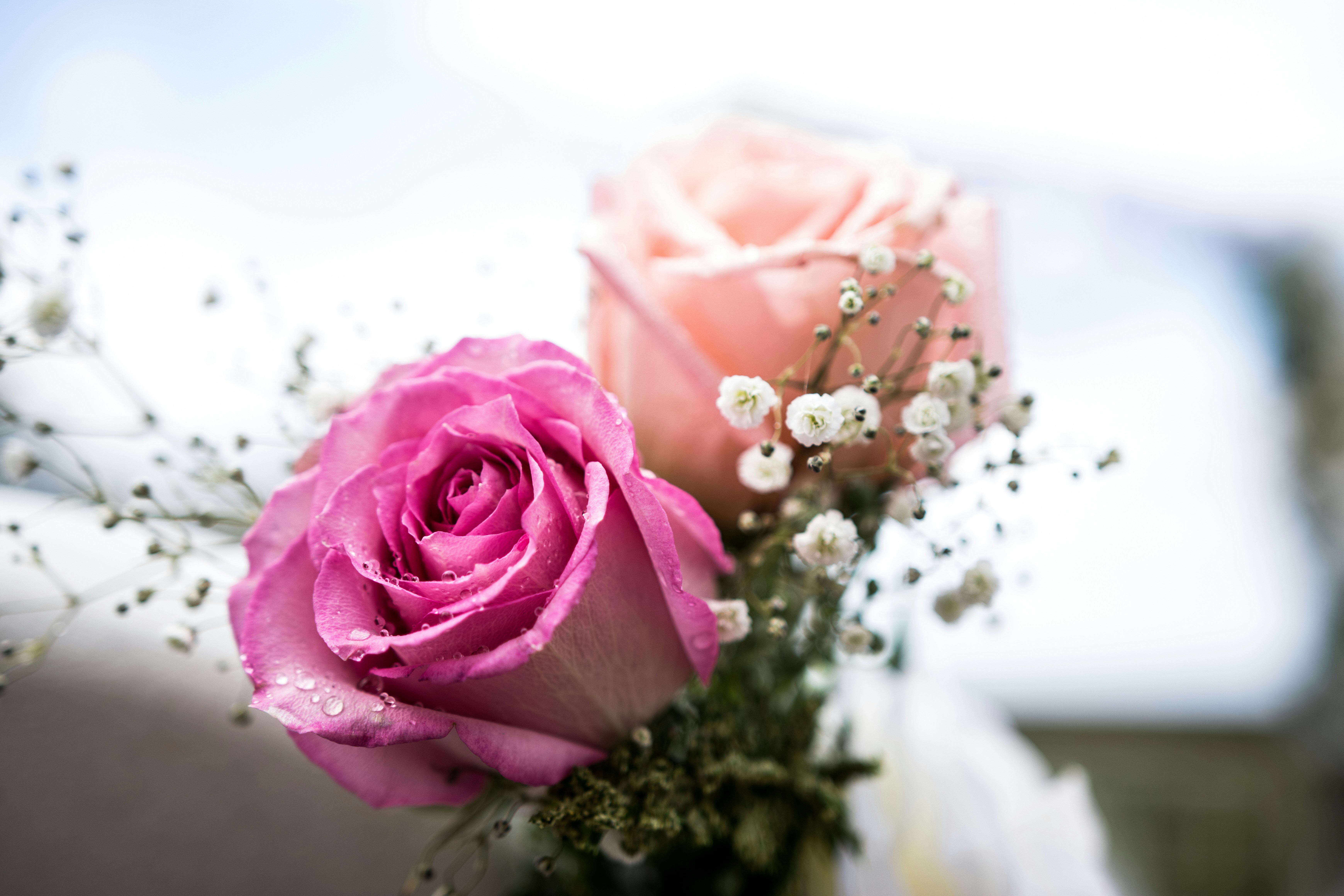 Photo by jakeforsher