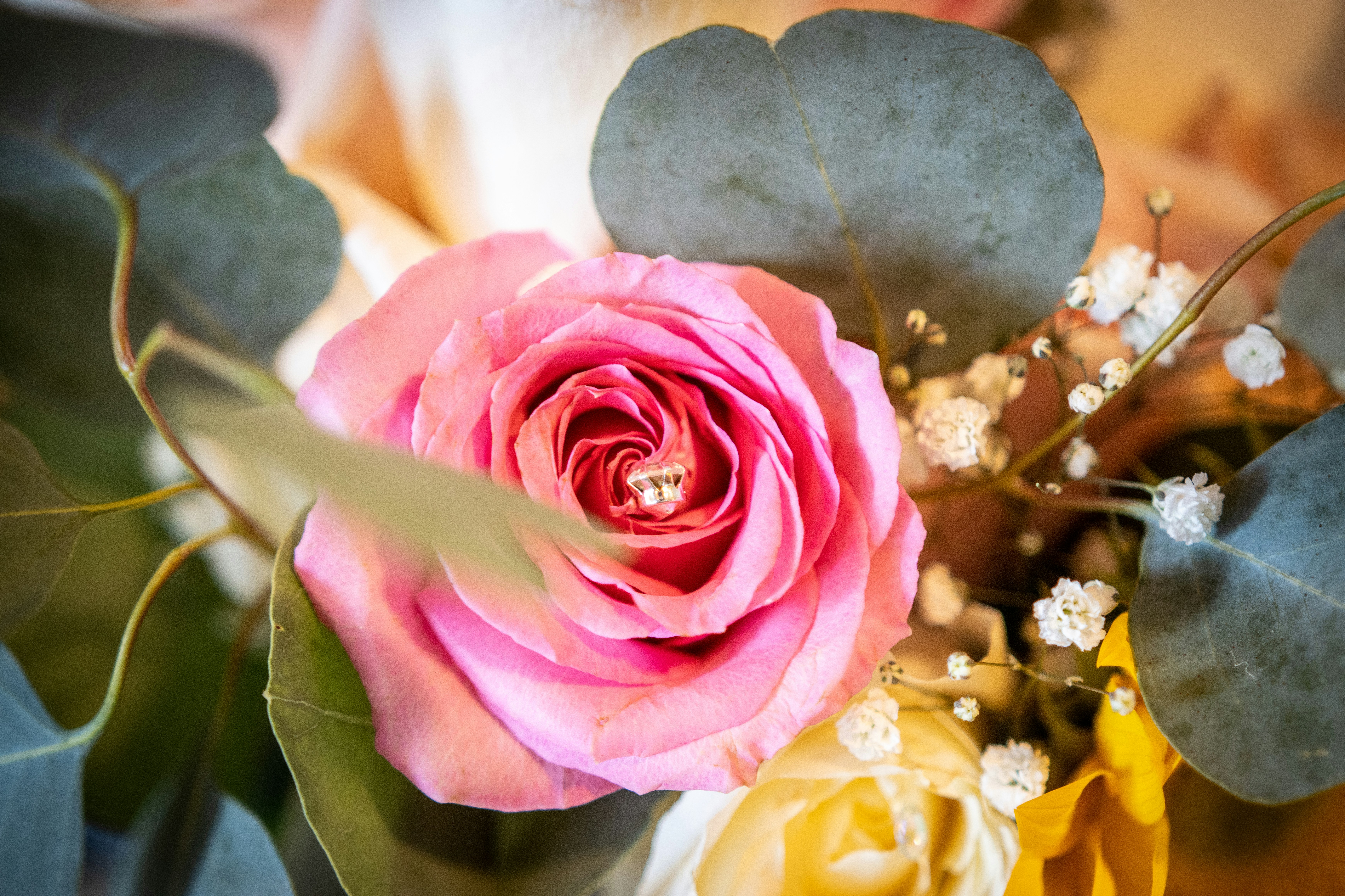 Photo by jakeforsher