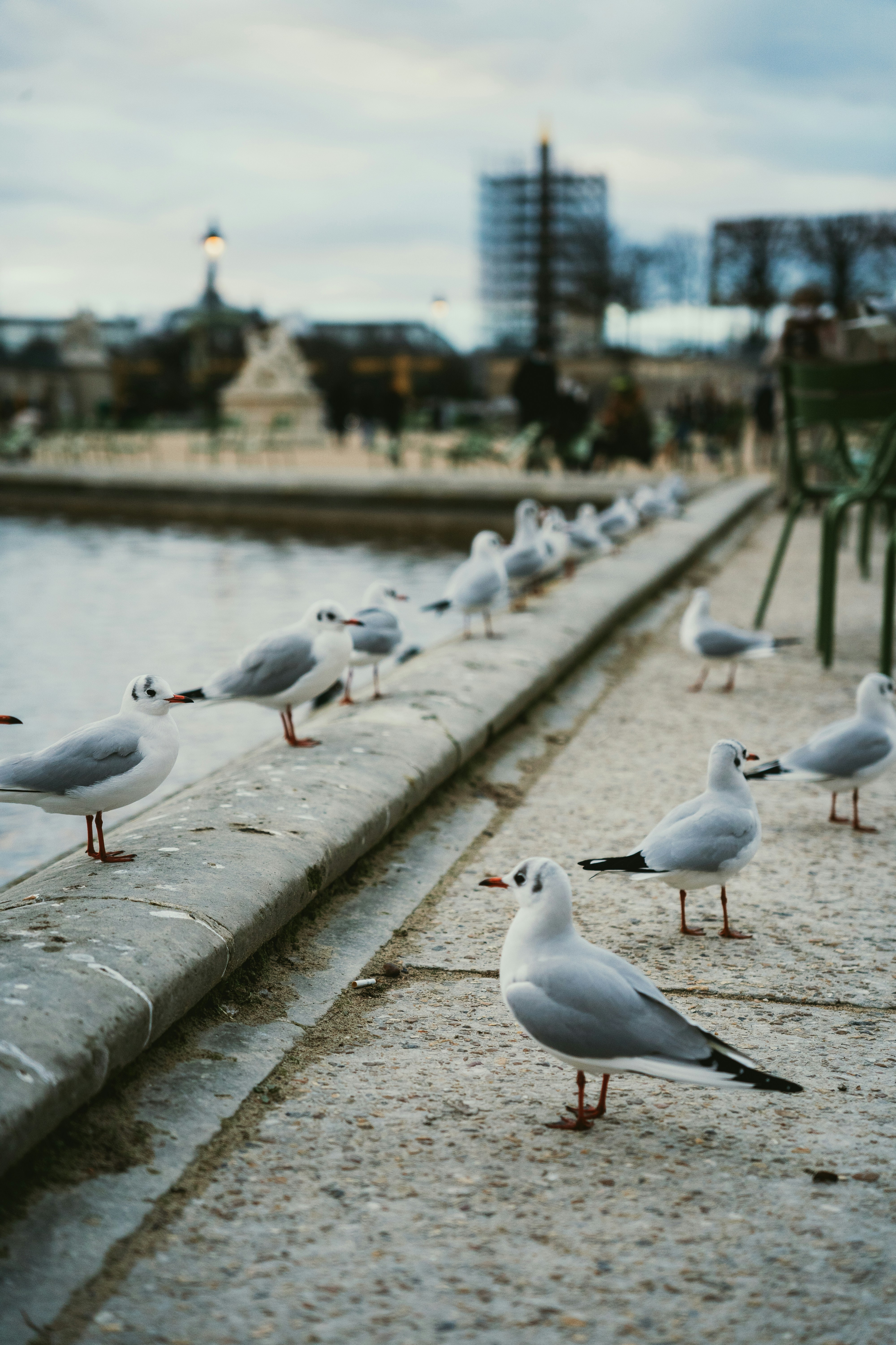 Photo by annahunko