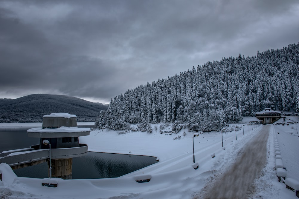 a snowy landscape with trees and a body of water