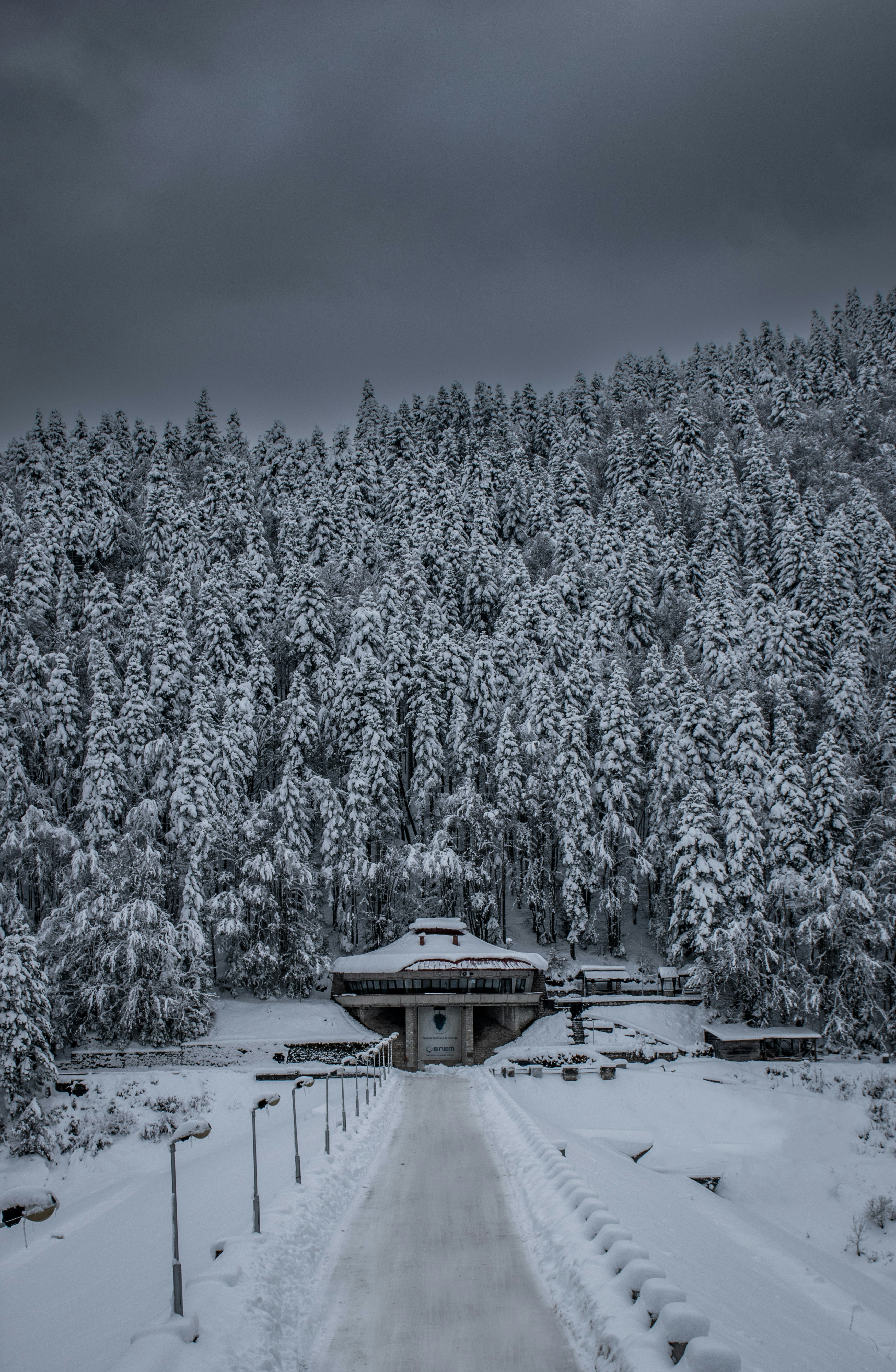 Photo by nikola43