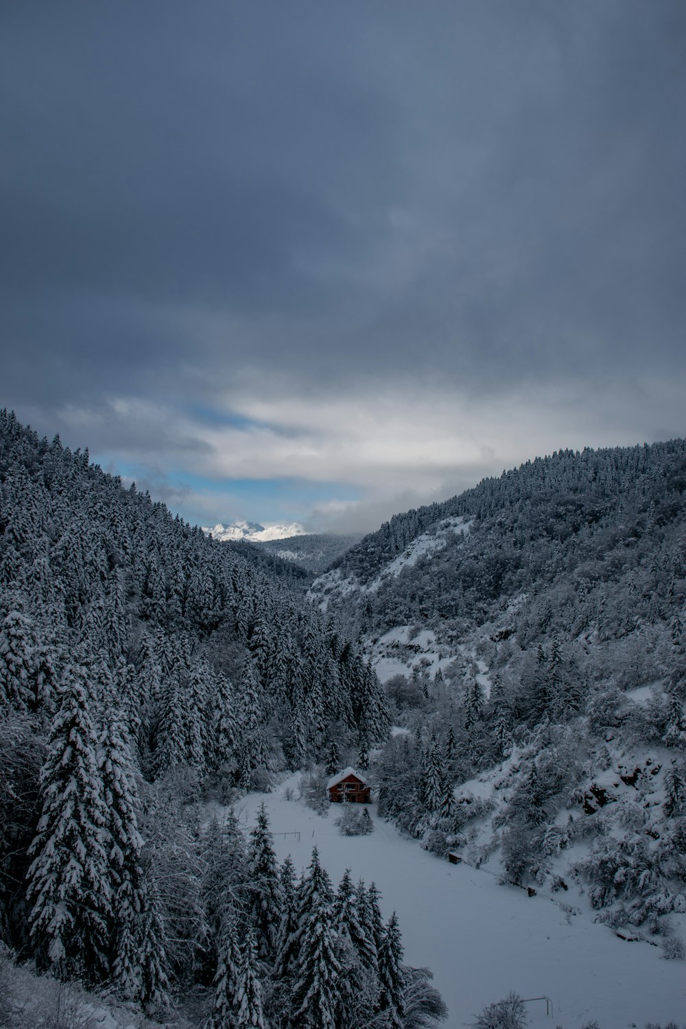 a snowy landscape with a cabin in the distance