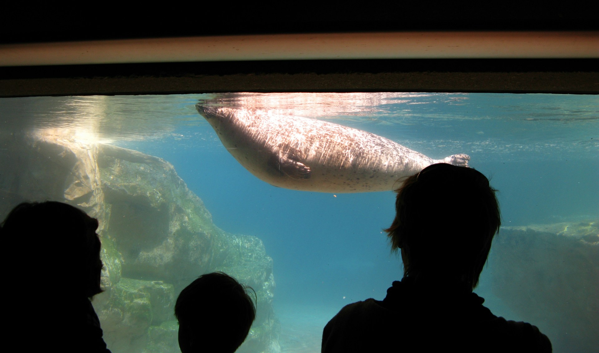 woman wearing yellow long-sleeved dress under white clouds and blue sky during daytime