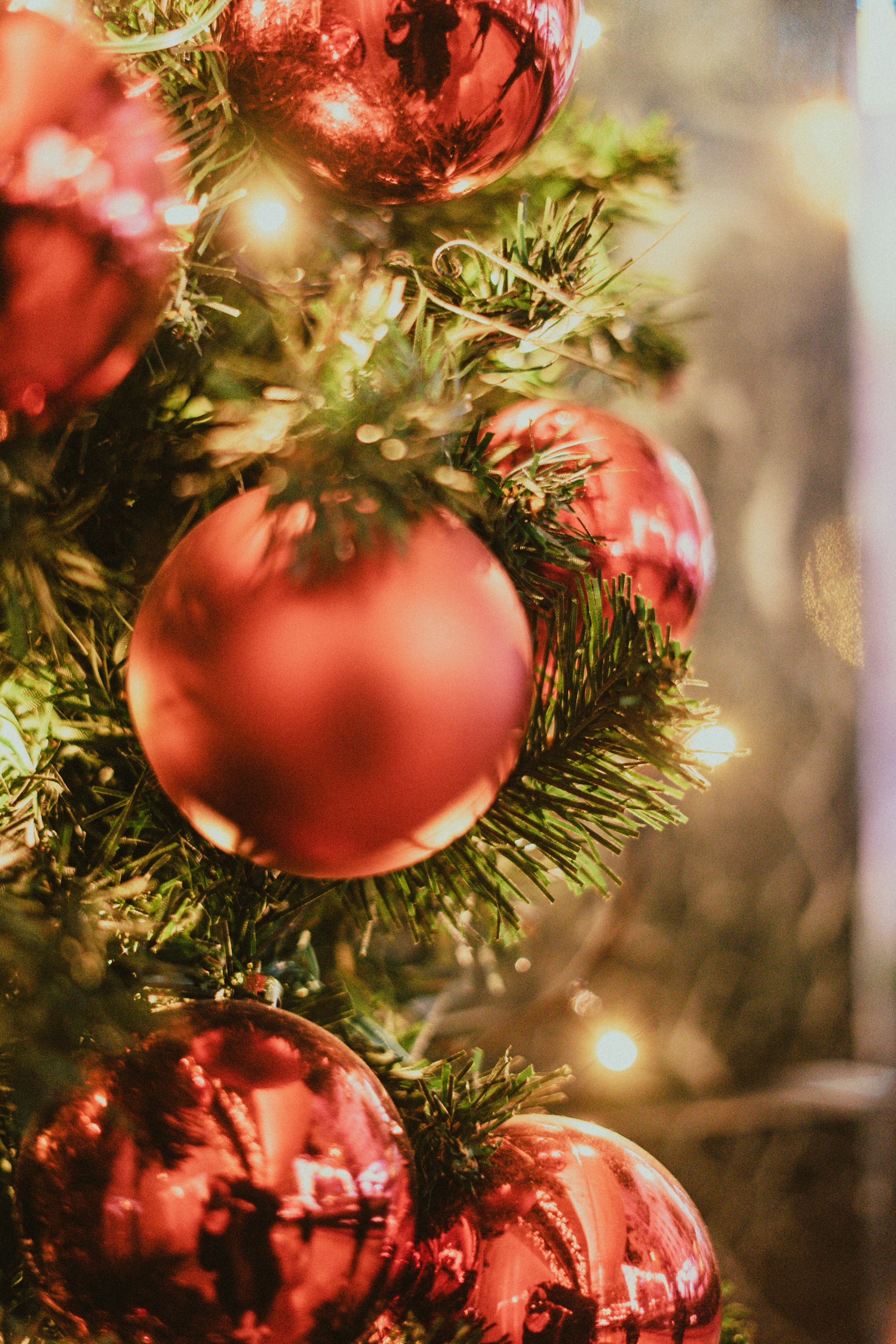 a close up of a christmas tree with red ornaments