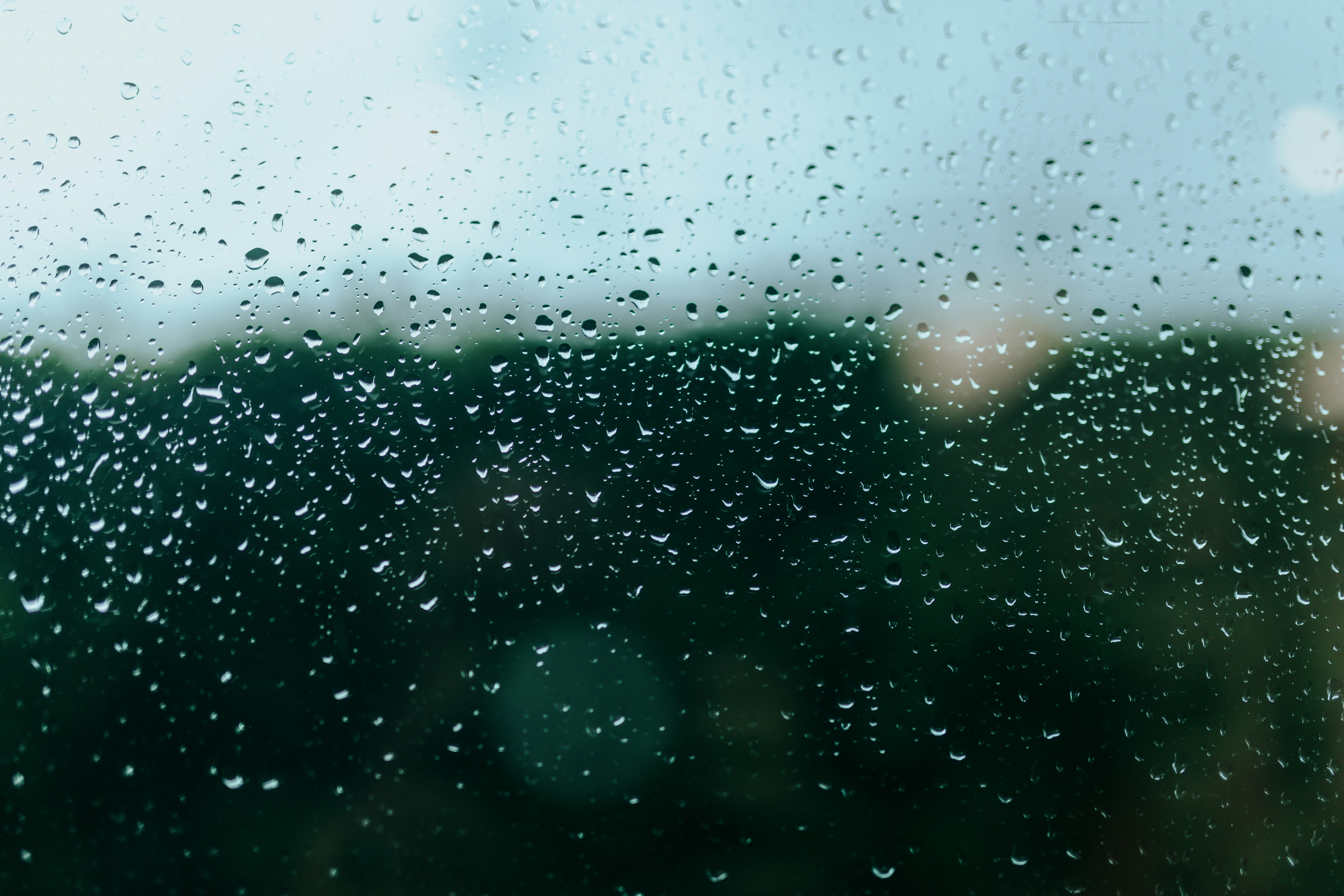 Photo by nate_dumlao