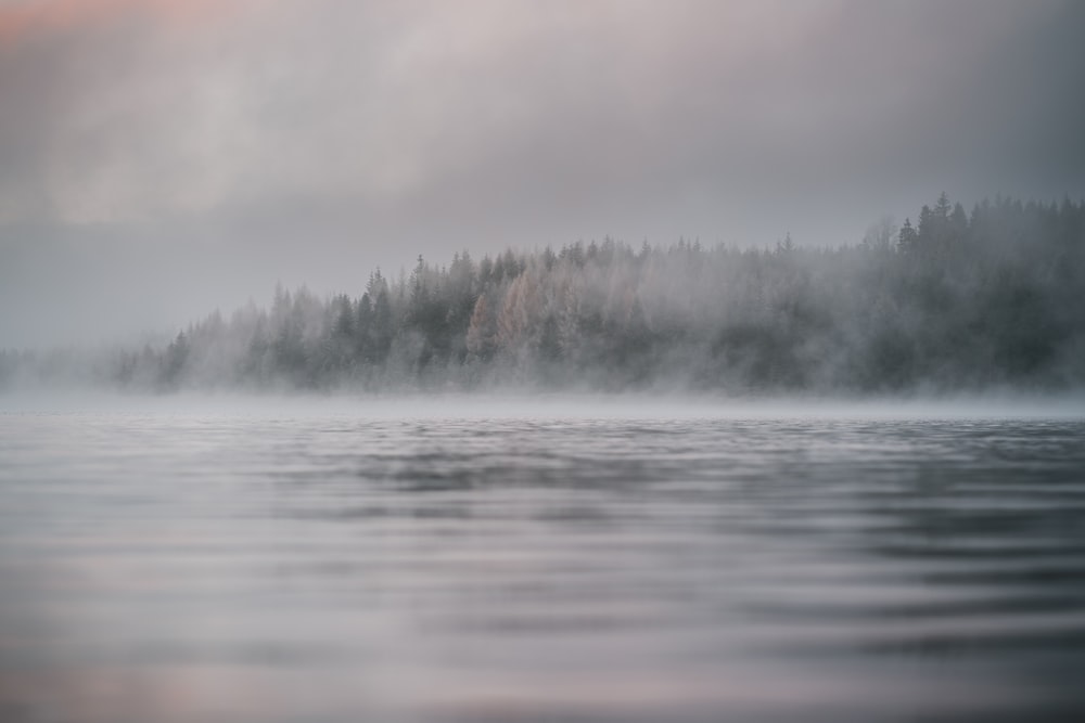 a body of water with trees in the background