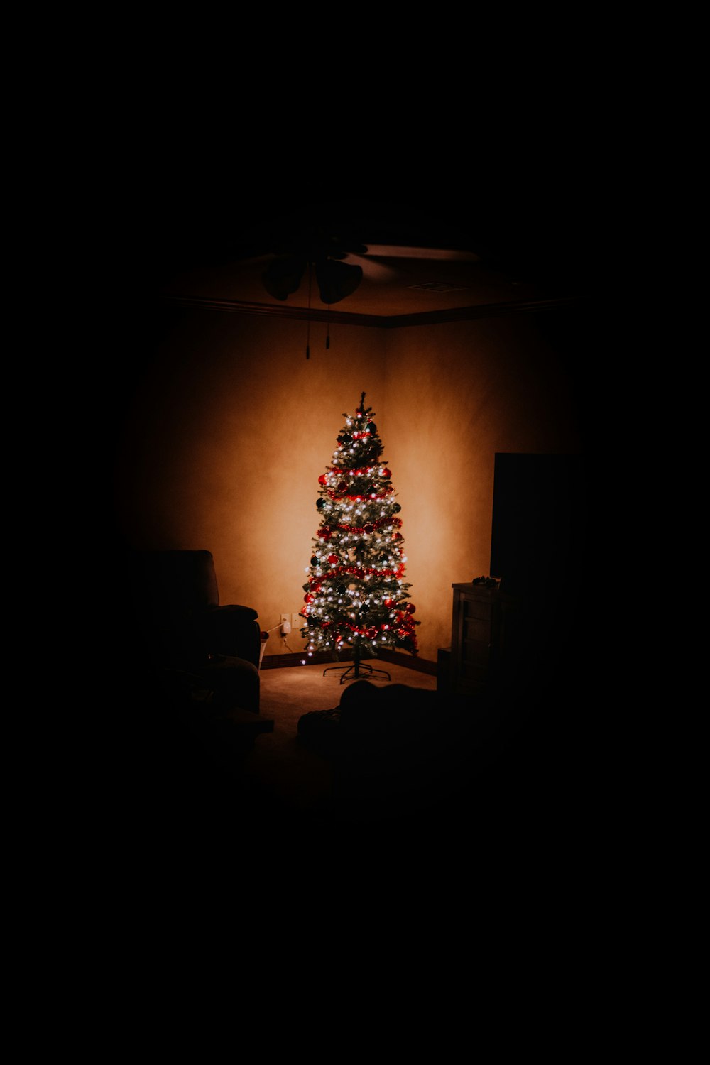 a lit christmas tree in a dark room