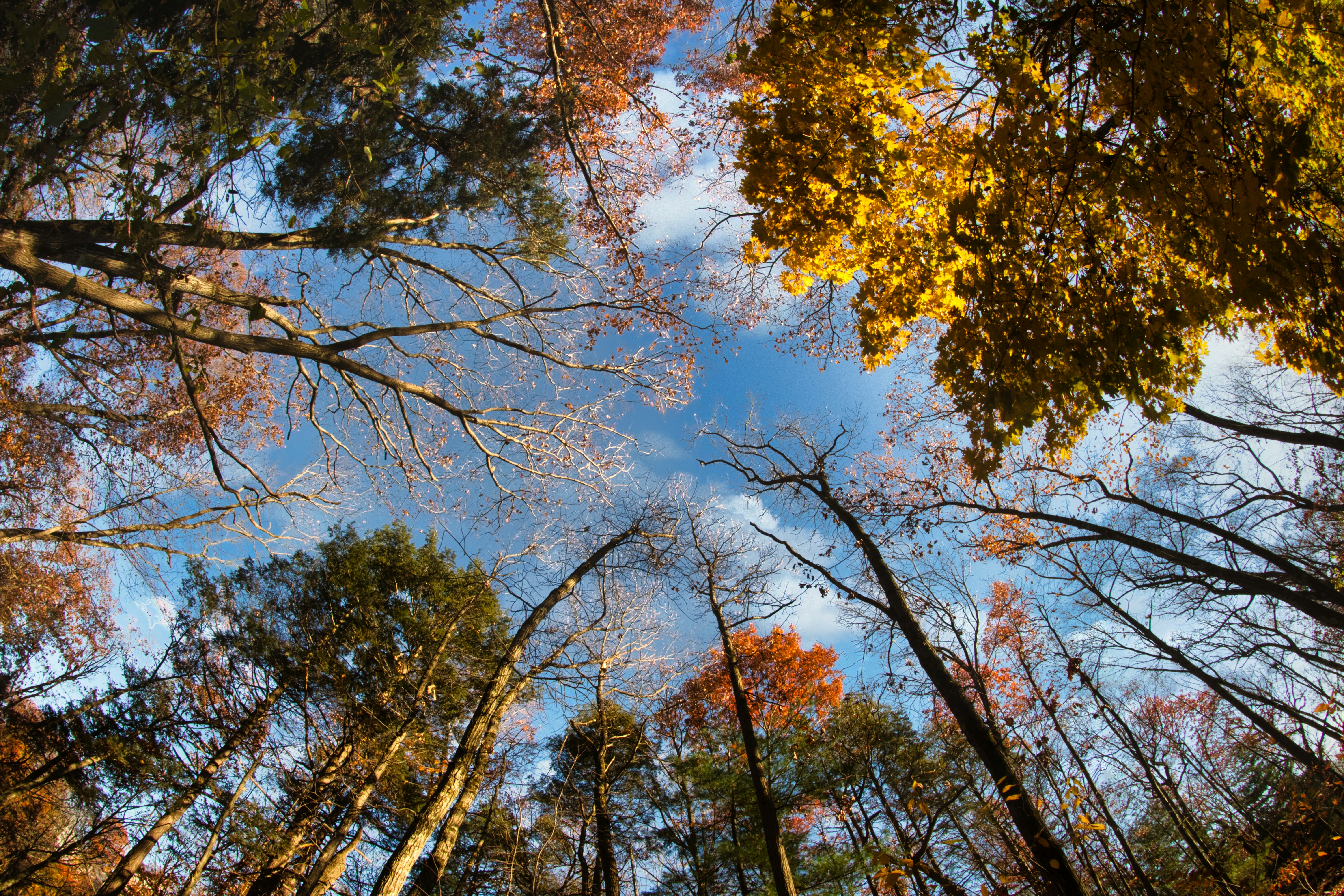 Photo by photosbymarkv