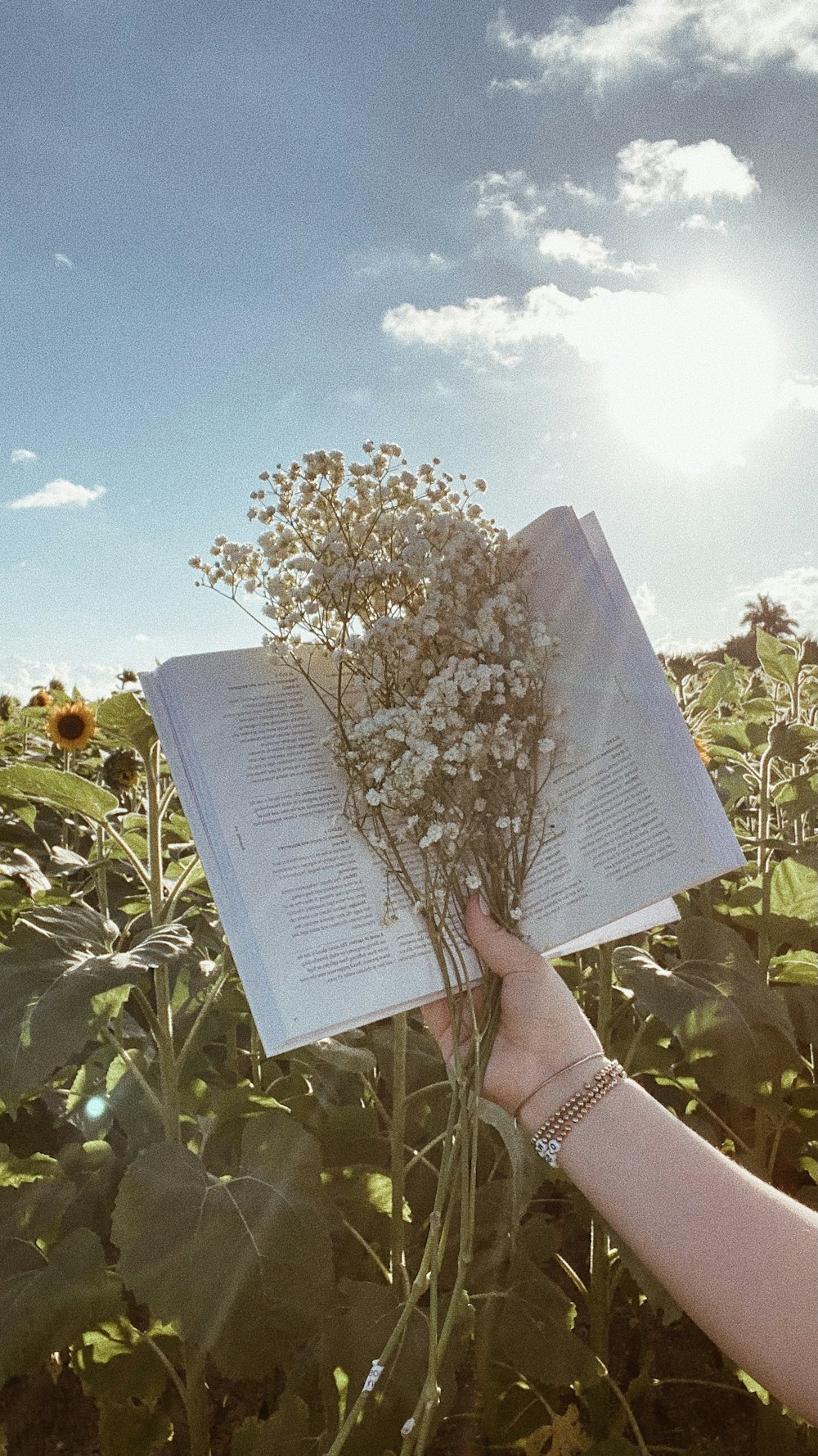 a person holding a book over a field of sunflowers