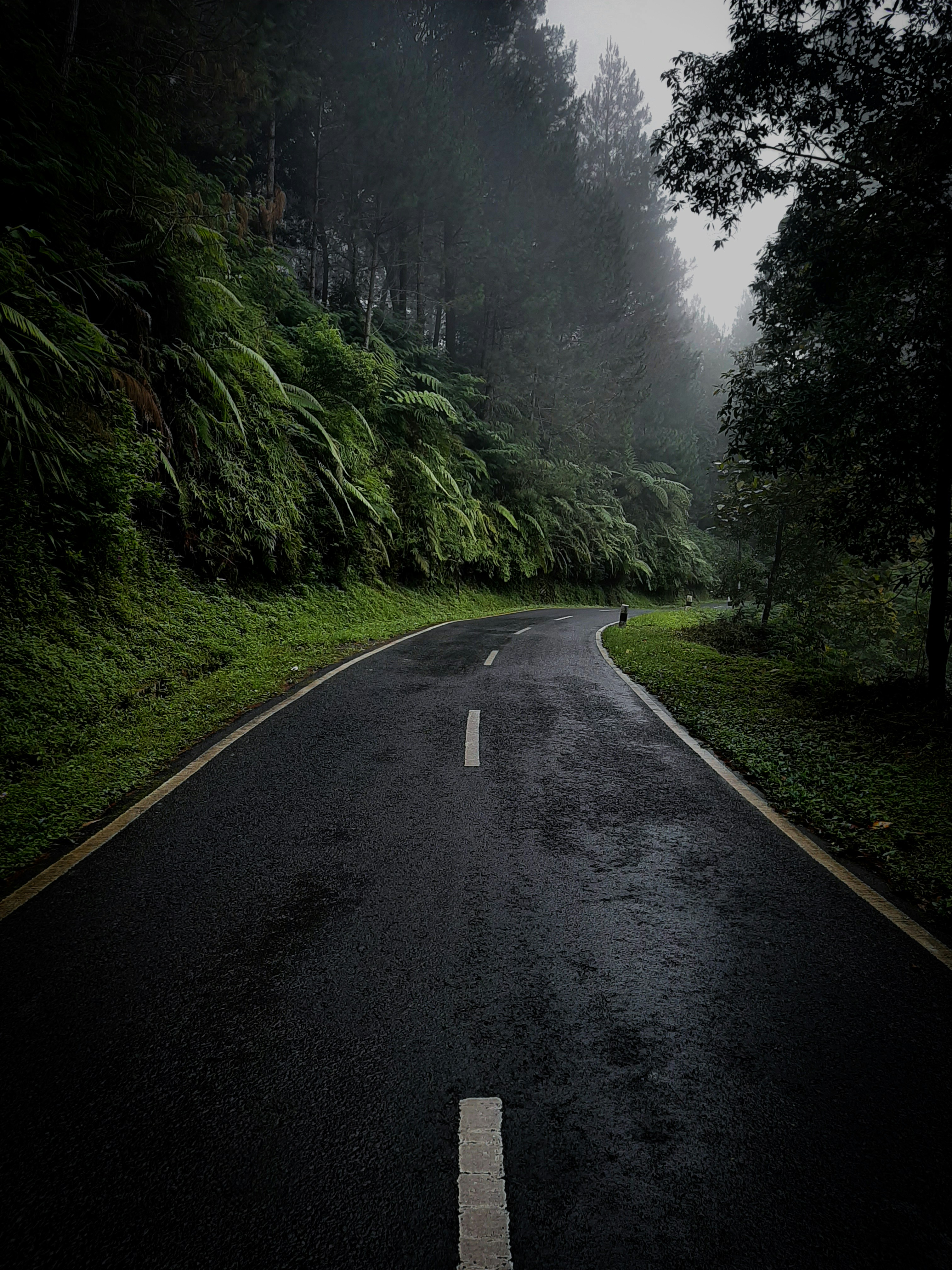 Photo by gammalilith