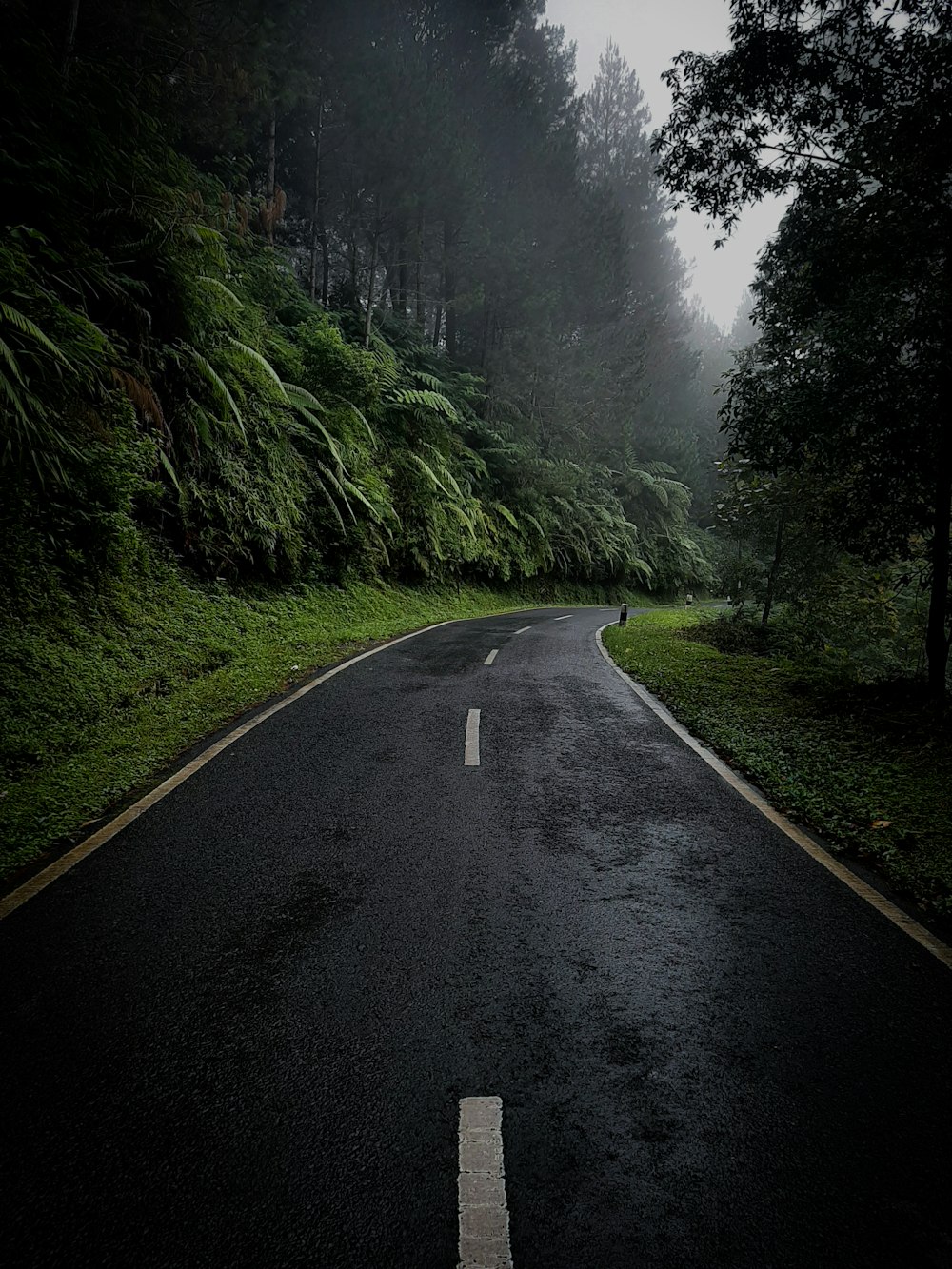 an empty road in the middle of a forest