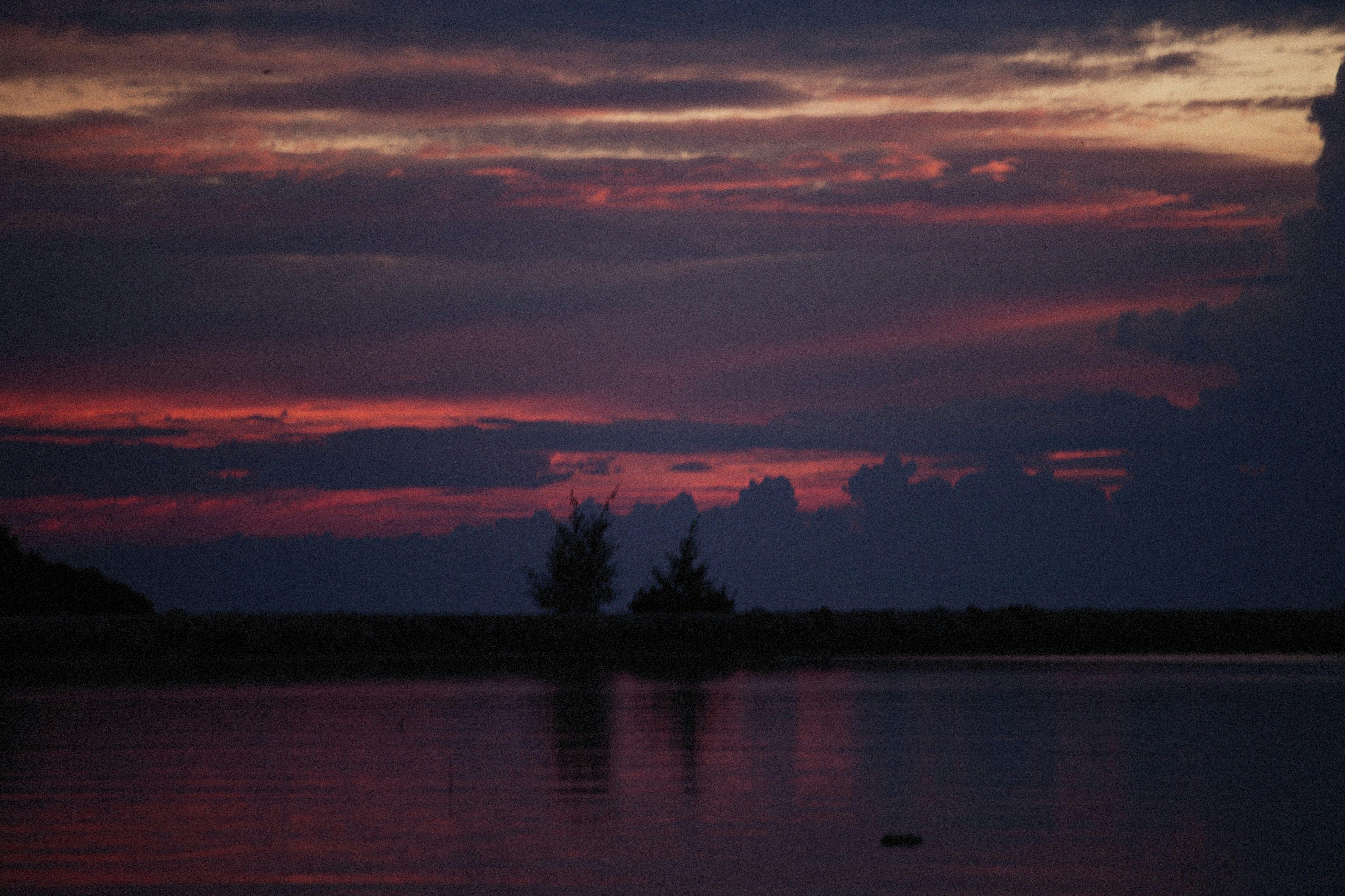 Photo by alexeydemidov